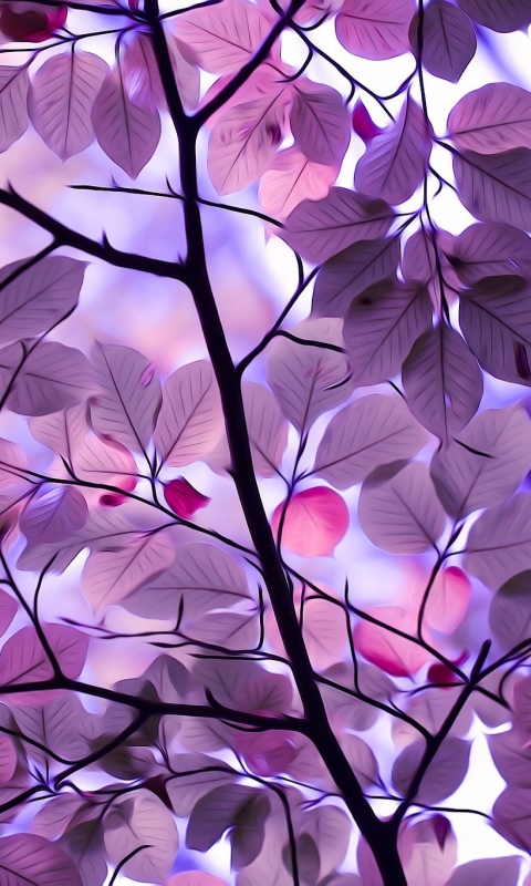 Download mobile wallpaper Leaf, Branch, Purple, Artistic for free.