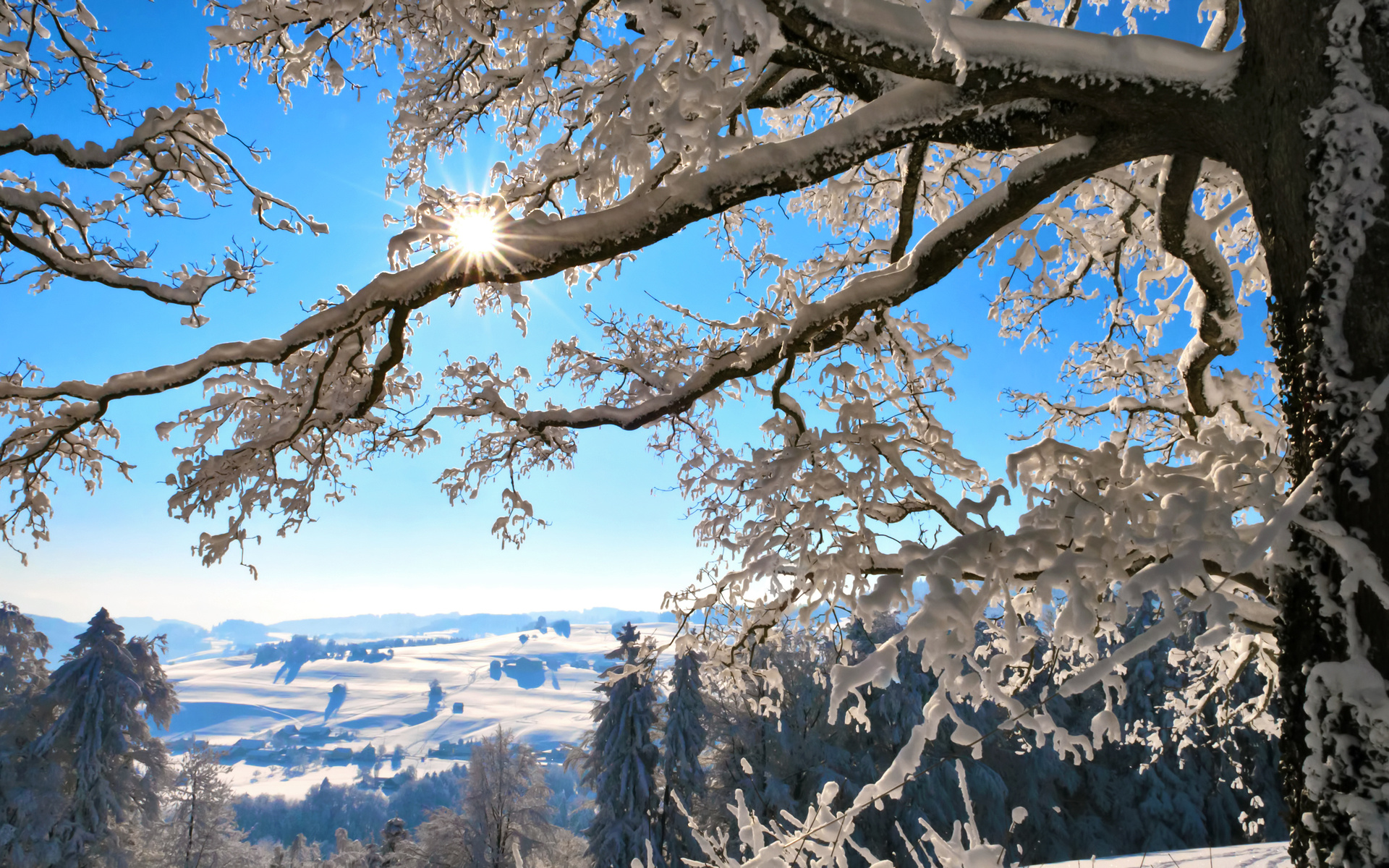 Free download wallpaper Winter, Earth on your PC desktop