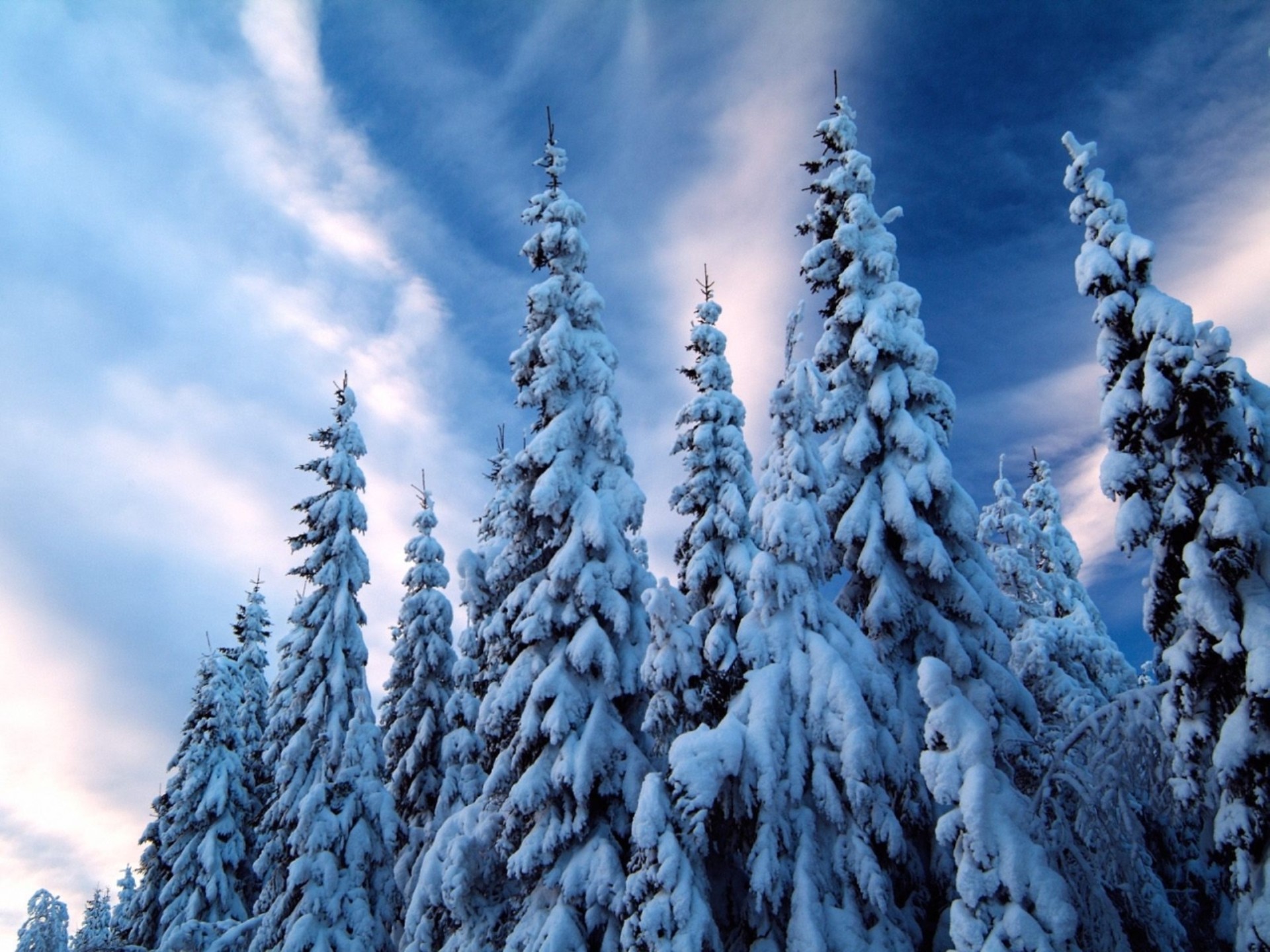 Téléchargez gratuitement l'image Hiver, Terre/nature sur le bureau de votre PC