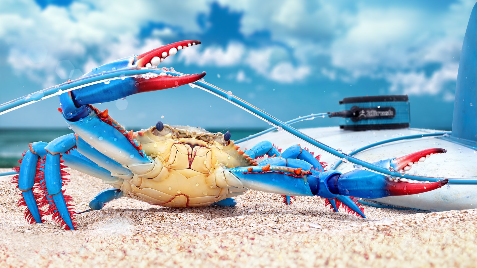 640258 Bild herunterladen tiere, krabbe, strand, sonne - Hintergrundbilder und Bildschirmschoner kostenlos