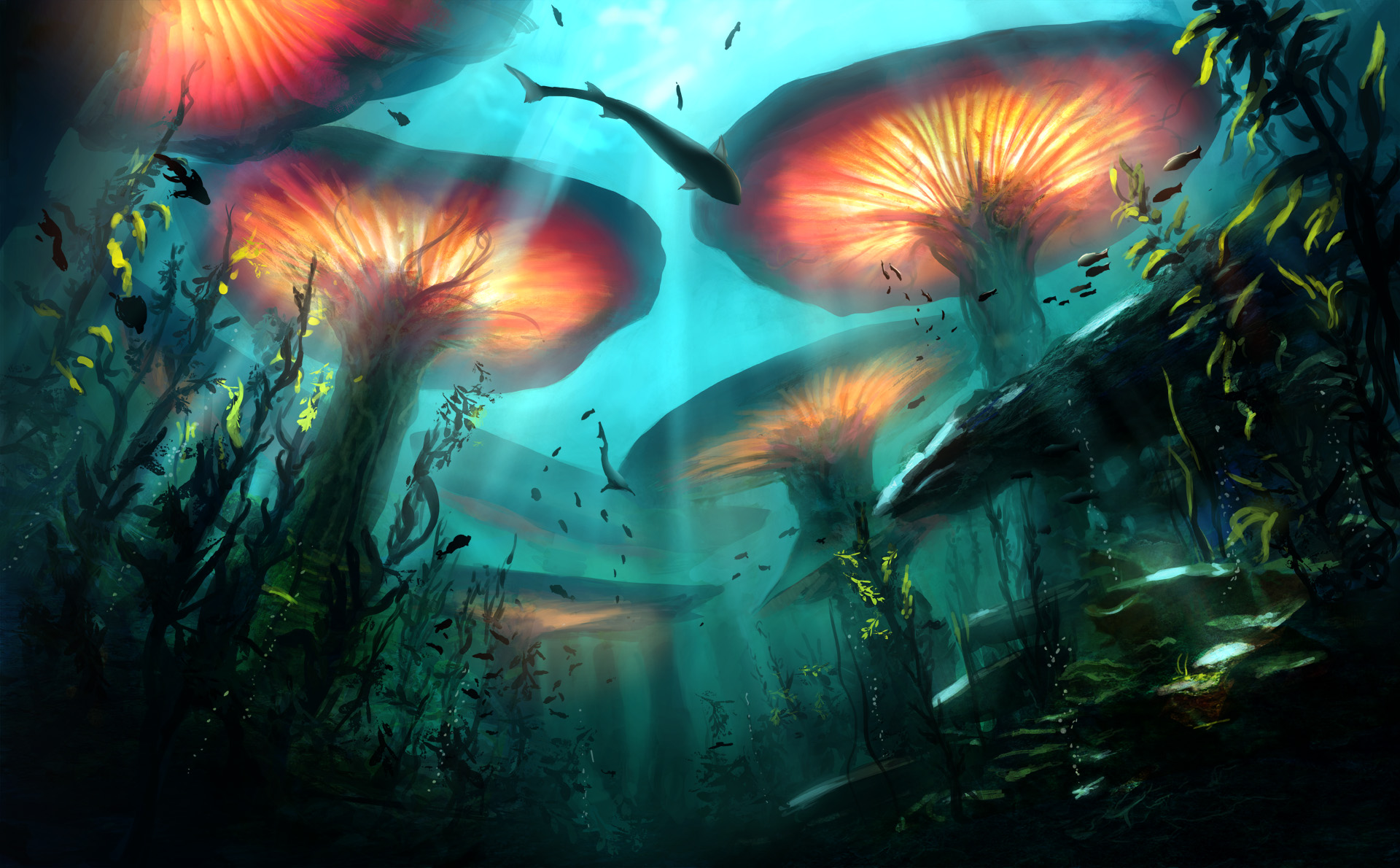Free download wallpaper Nature, Fantasy, Plant, Fish, Underwater, Sunbeam on your PC desktop