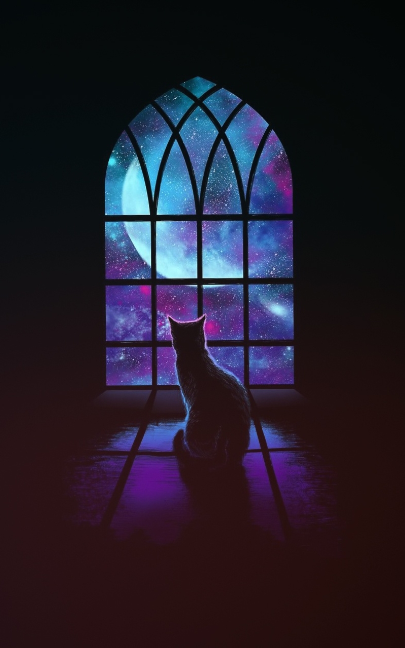 Download mobile wallpaper Fantasy, Cat, Window, Full Moon, Fantasy Animals for free.