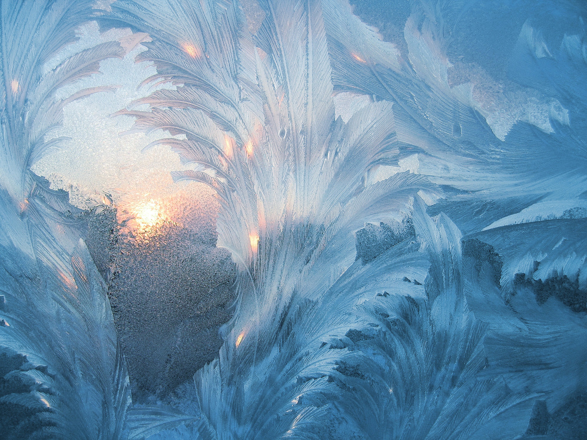 Laden Sie das Winter, Muster, Frost, Erde/natur-Bild kostenlos auf Ihren PC-Desktop herunter