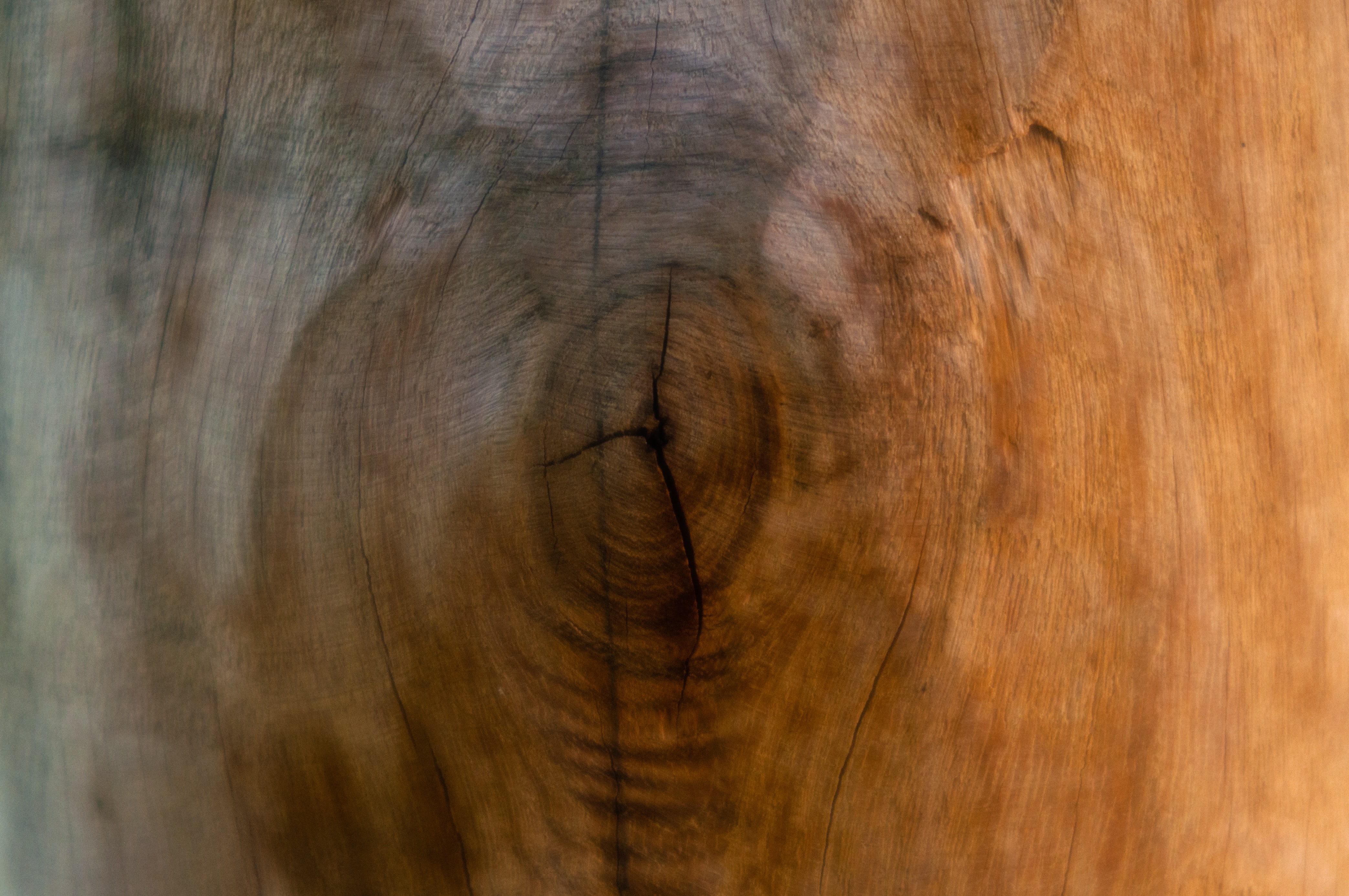 wood, tree, texture, textures, surface, crack