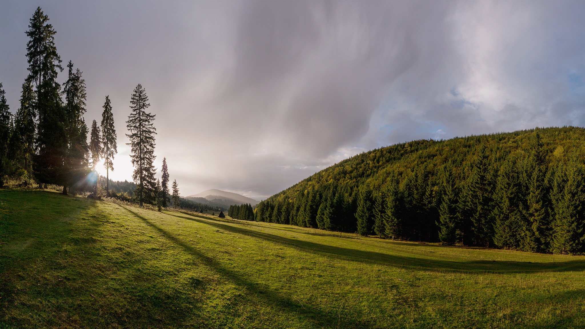 Handy-Wallpaper Landschaft, Natur, Wald, Baum, Sonnig, Erde/natur kostenlos herunterladen.