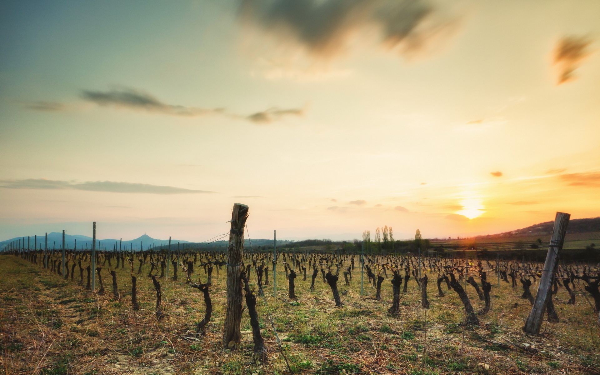 Laden Sie das Landschaft, Feld, Sonnenuntergang, Erde/natur-Bild kostenlos auf Ihren PC-Desktop herunter