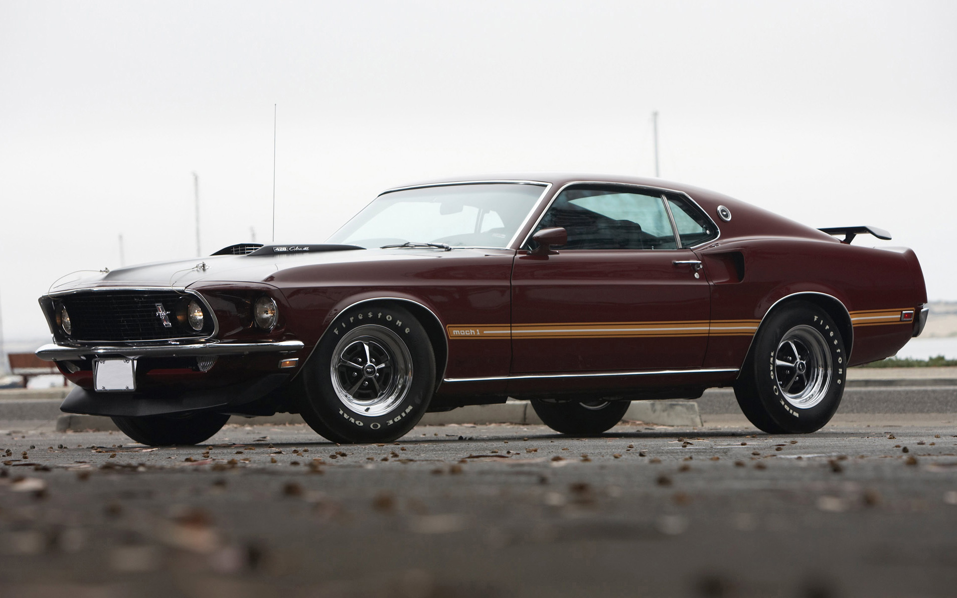 vehicles, ford mustang mach 1, muscle car, ford
