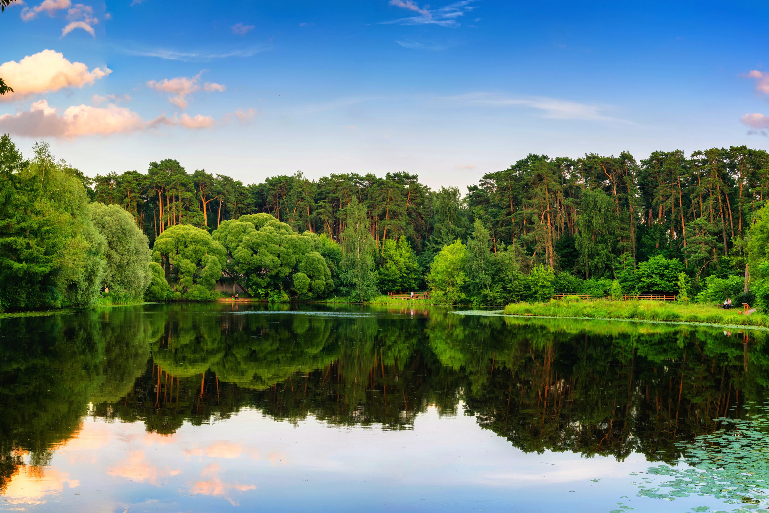 Téléchargez gratuitement l'image Lac, Forêt, Arbre, Des Lacs, Terre/nature, Réflection sur le bureau de votre PC
