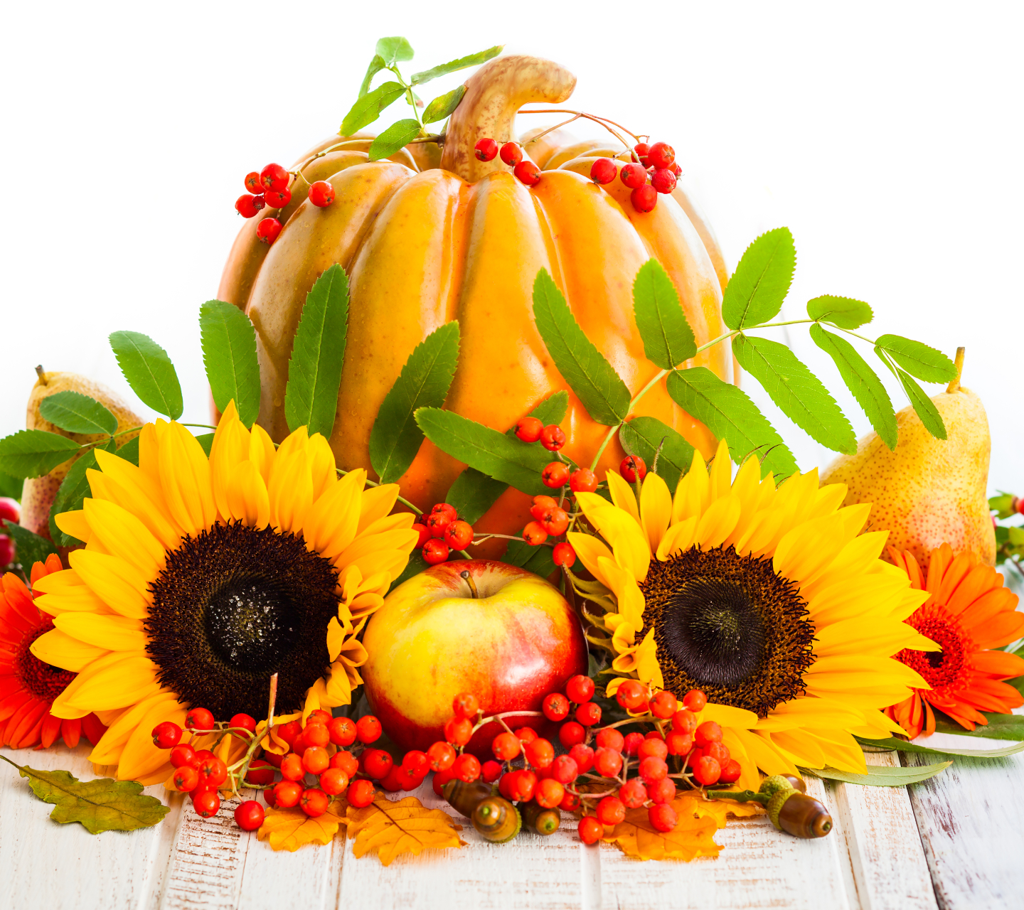 food, still life, pear, pumpkin, fruit, fall, sunflower, harvest, apple
