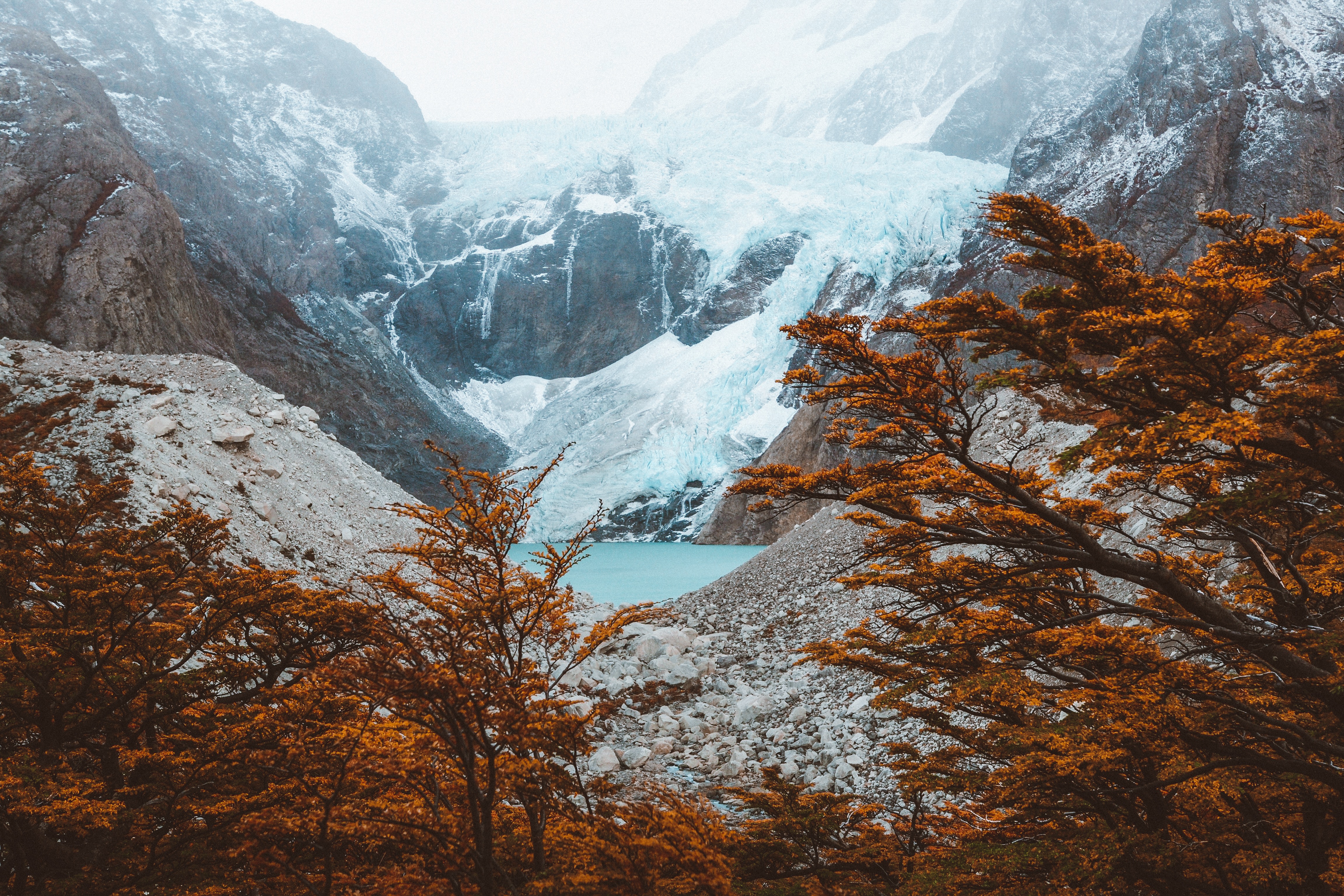 Descarga gratis la imagen Lago, Árboles, Montañas, El Chalten, Naturaleza, Argentina en el escritorio de tu PC