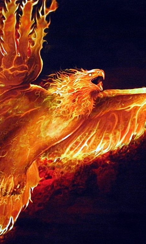 Download mobile wallpaper Fantasy, Fire, Bird, Wings, Phoenix, Fantasy Animals for free.