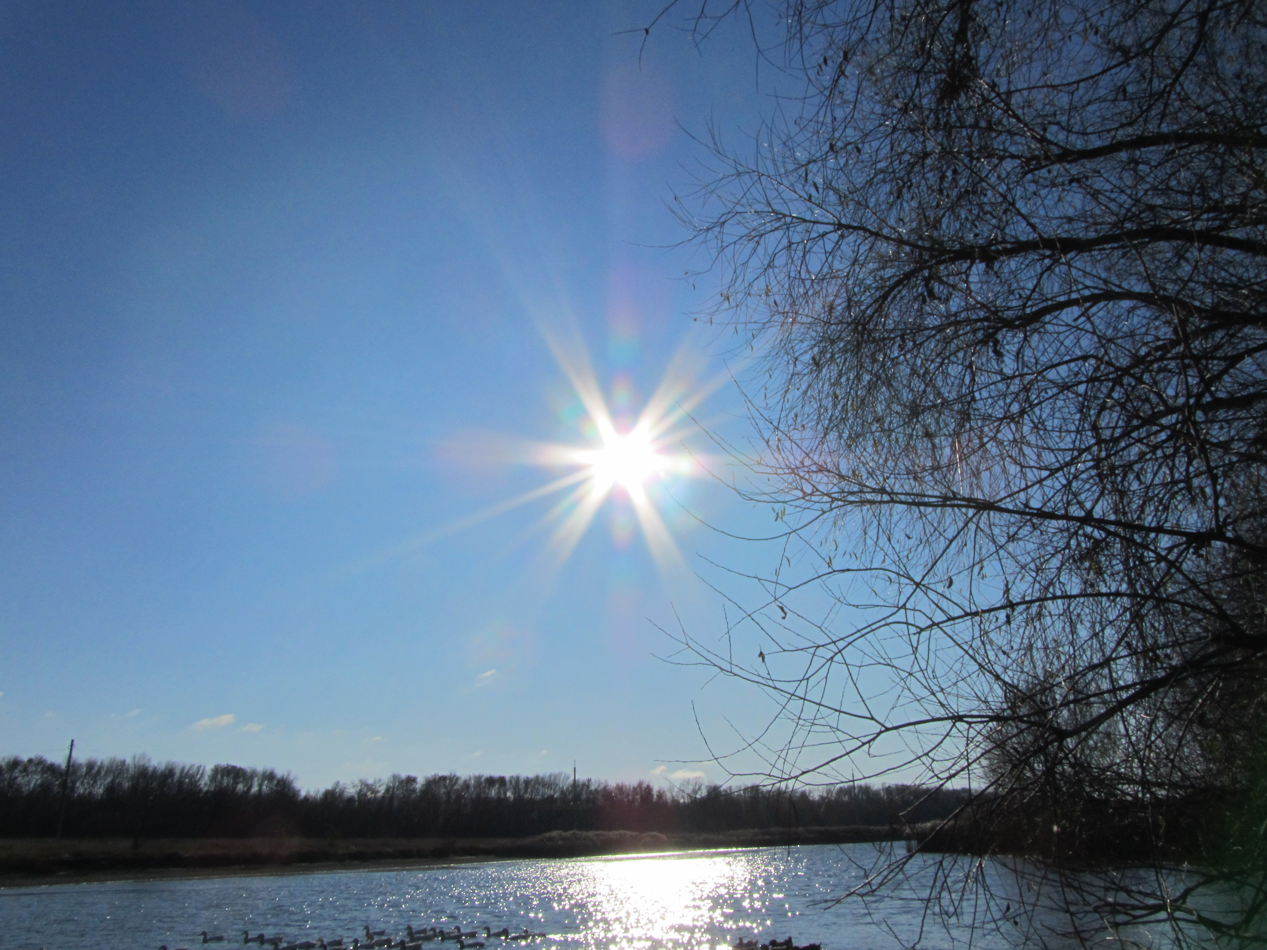 Descarga gratis la imagen Rayo De Sol, Tierra/naturaleza en el escritorio de tu PC