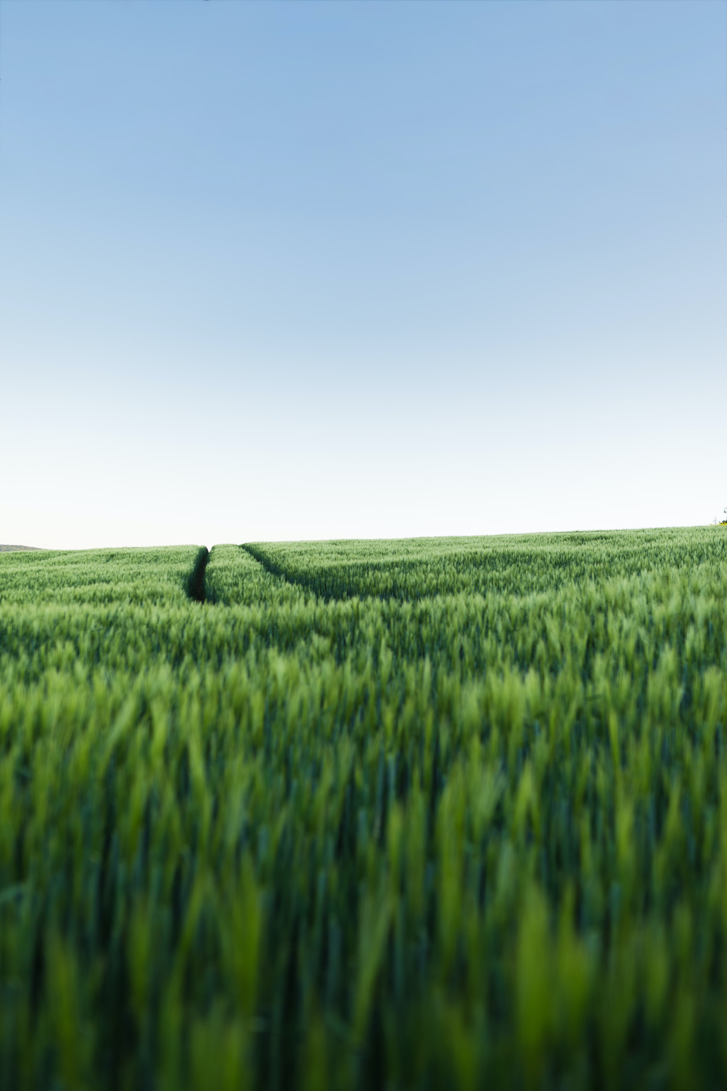 Download mobile wallpaper Field, Grass, Road, Sky, Nature for free.