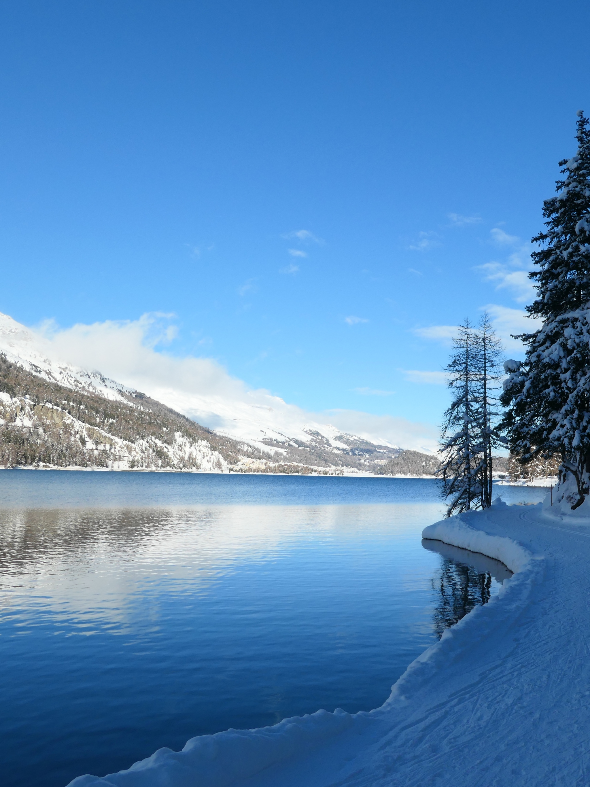 Скачать картинку Зима, Снег, Озеро, Швейцария, Земля/природа, Озеро Сильваплана в телефон бесплатно.