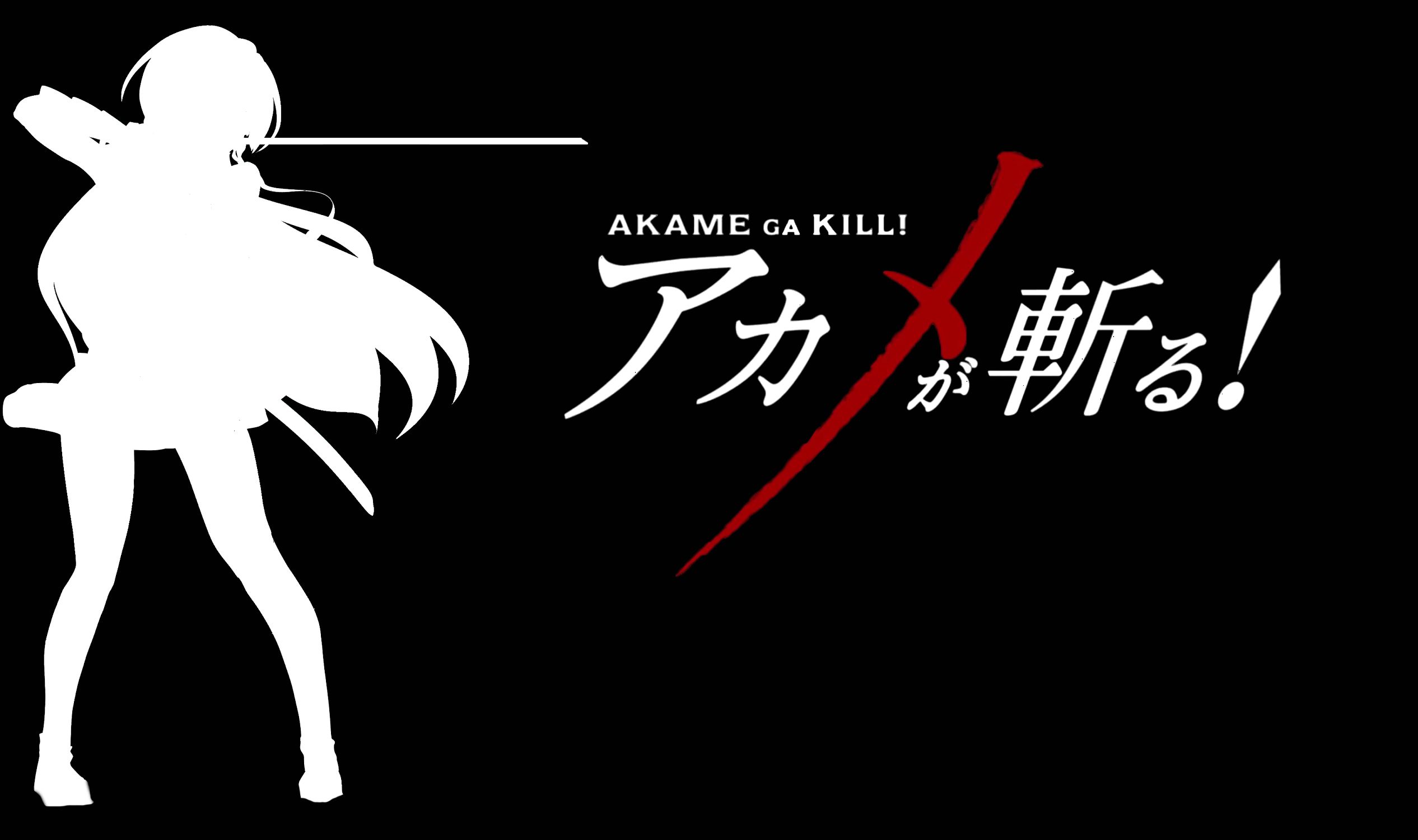 Free download wallpaper Anime, Akame Ga Kill! on your PC desktop