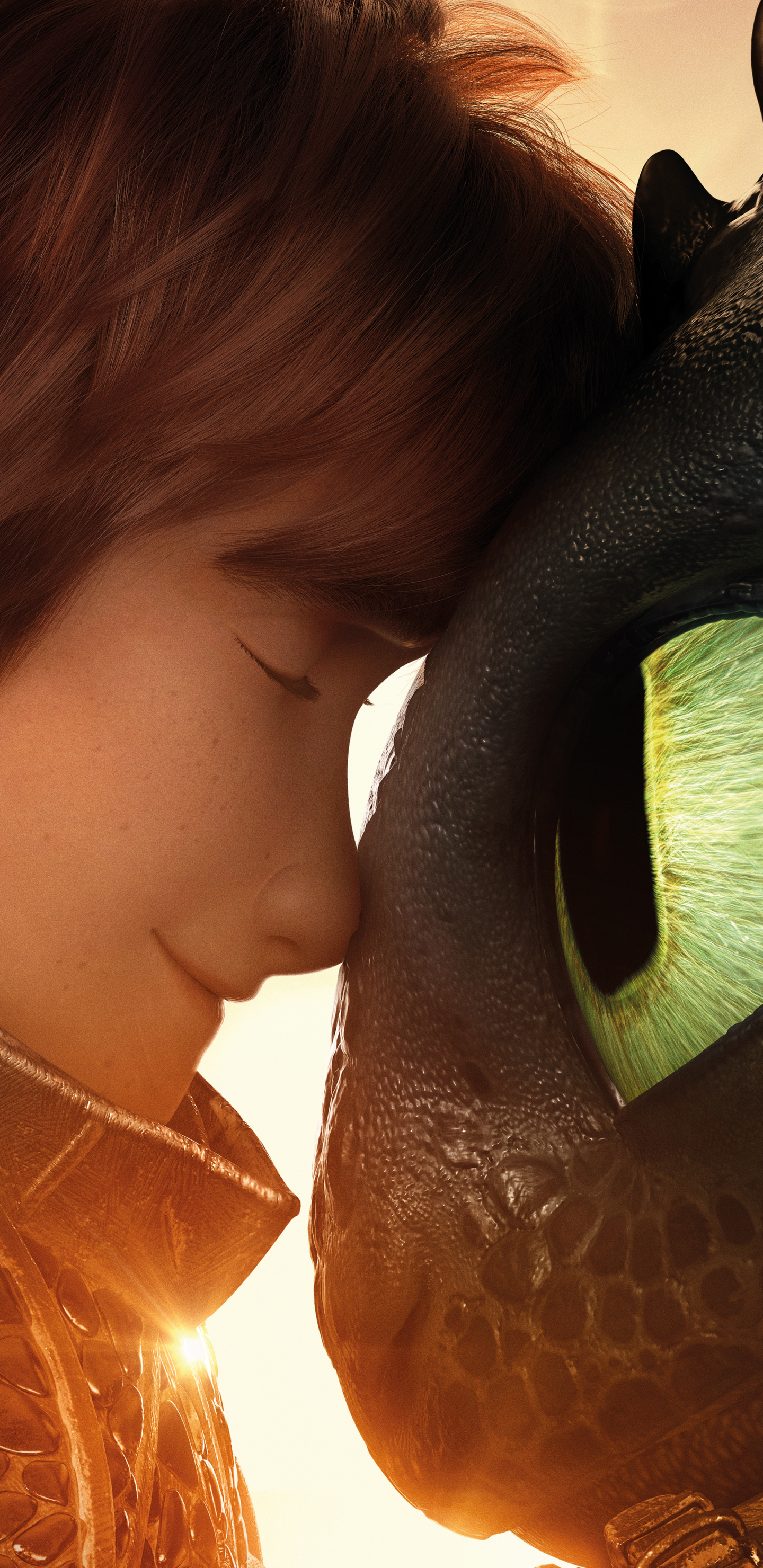 Download mobile wallpaper Movie, Toothless (How To Train Your Dragon), Hiccup (How To Train Your Dragon), How To Train Your Dragon, How To Train Your Dragon: The Hidden World for free.