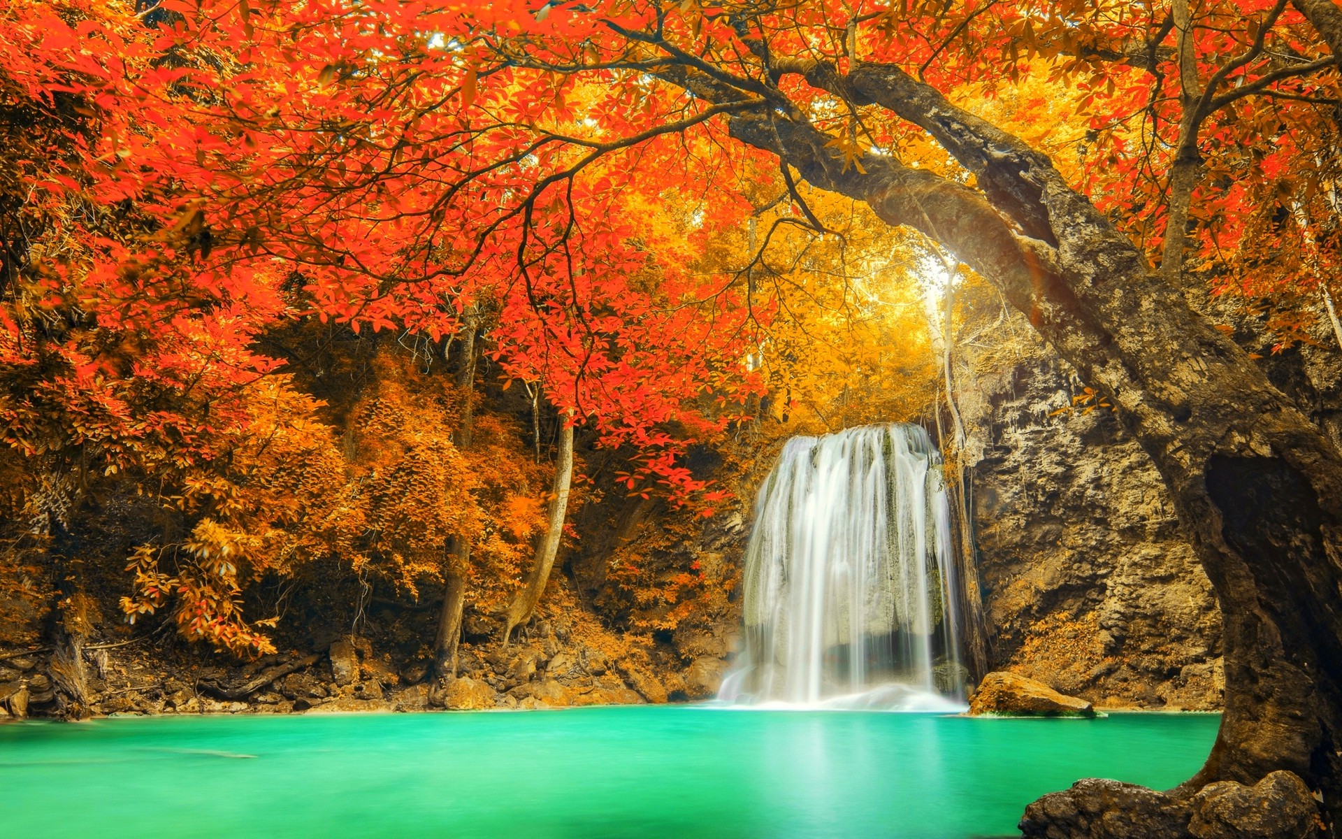 Скачать картинку Река, Осень, Водопады, Водопад, Лес, Дерево, Пруд, Бирюзовый, Земля/природа в телефон бесплатно.