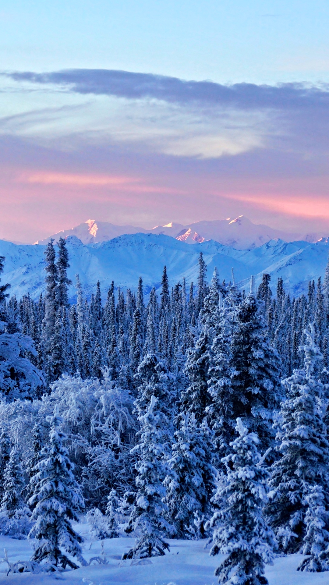 Скачать картинку Пейзаж, Зима, Природа, Снег, Гора, Лес, Ландшафт, Земля/природа в телефон бесплатно.
