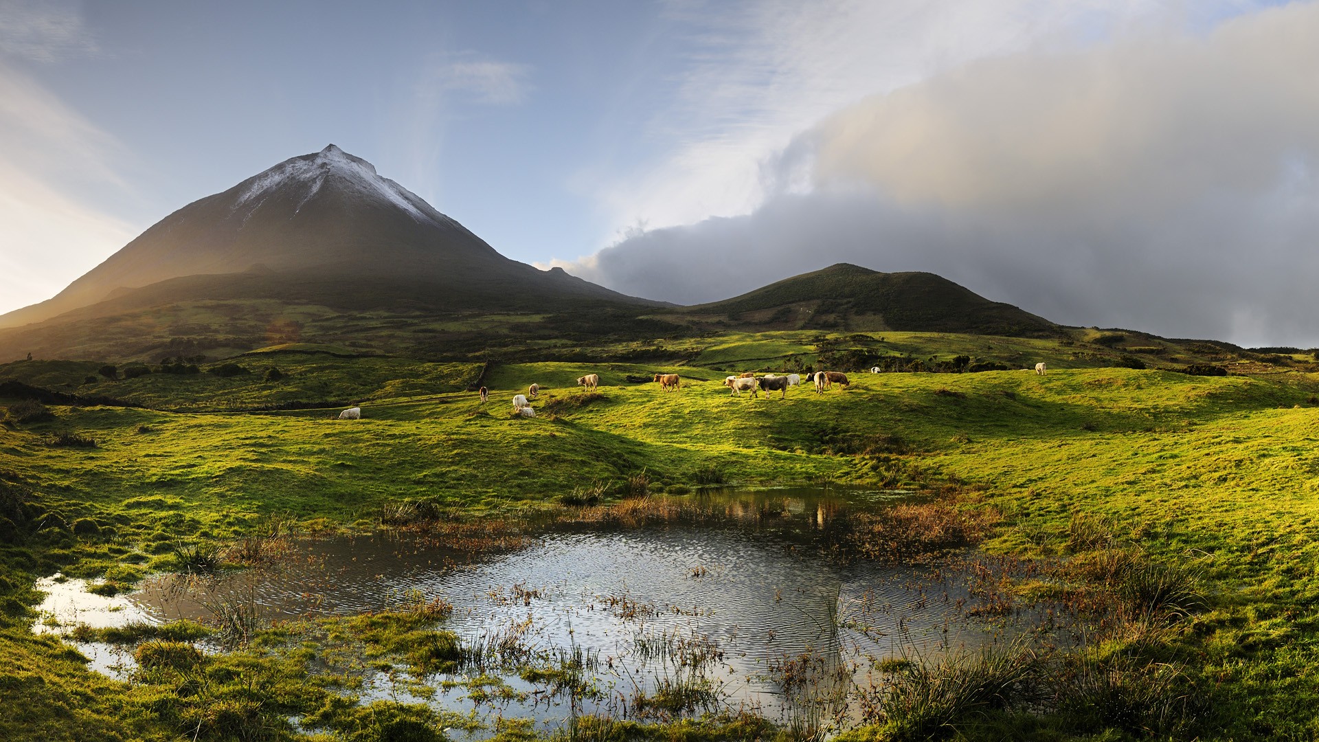 Téléchargez gratuitement l'image Paysage, Terre/nature sur le bureau de votre PC