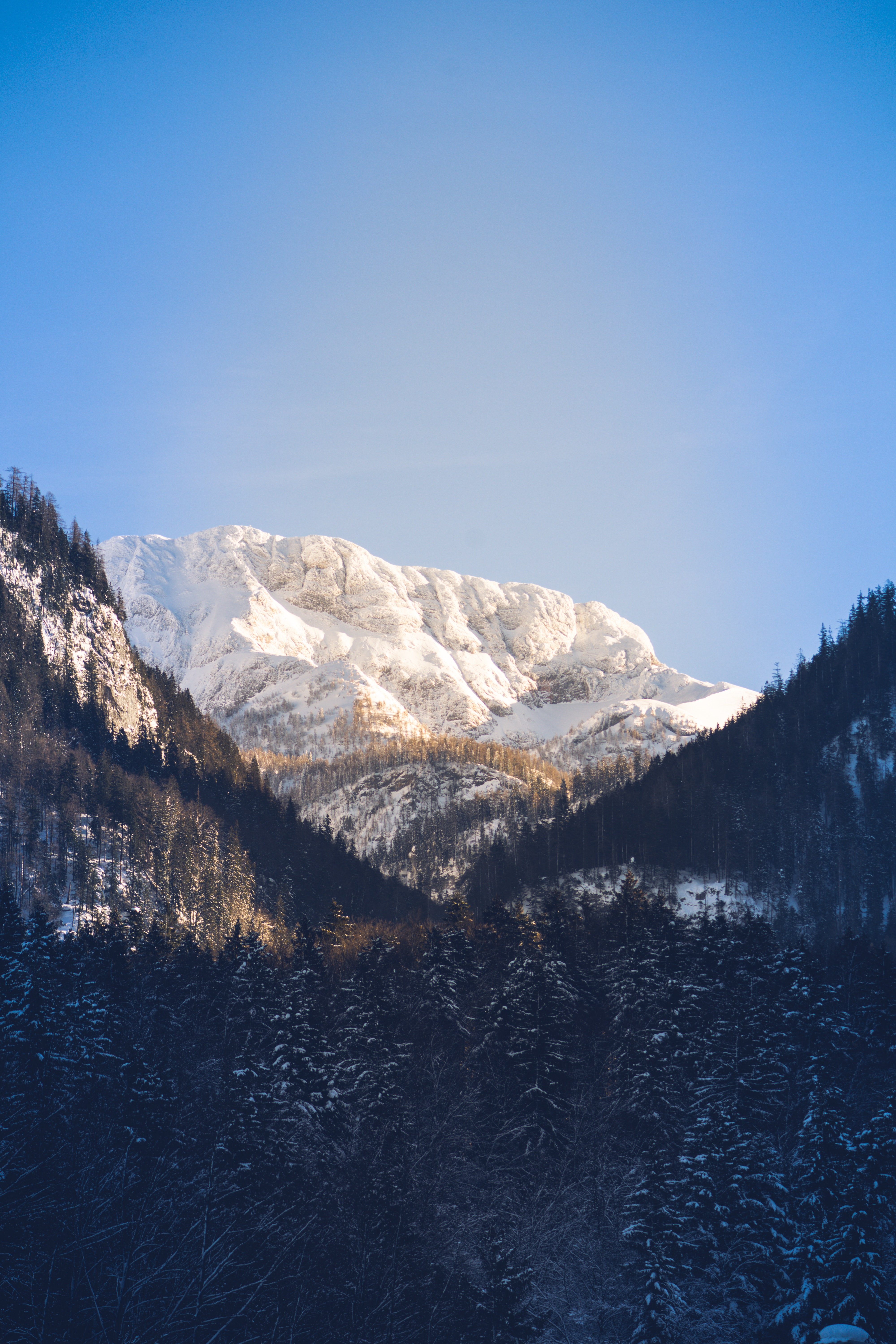 Descarga gratis la imagen Naturaleza, Árboles, Montañas, Arriba, Cubierto De Nieve, Nevado, Cielo, Vértice en el escritorio de tu PC