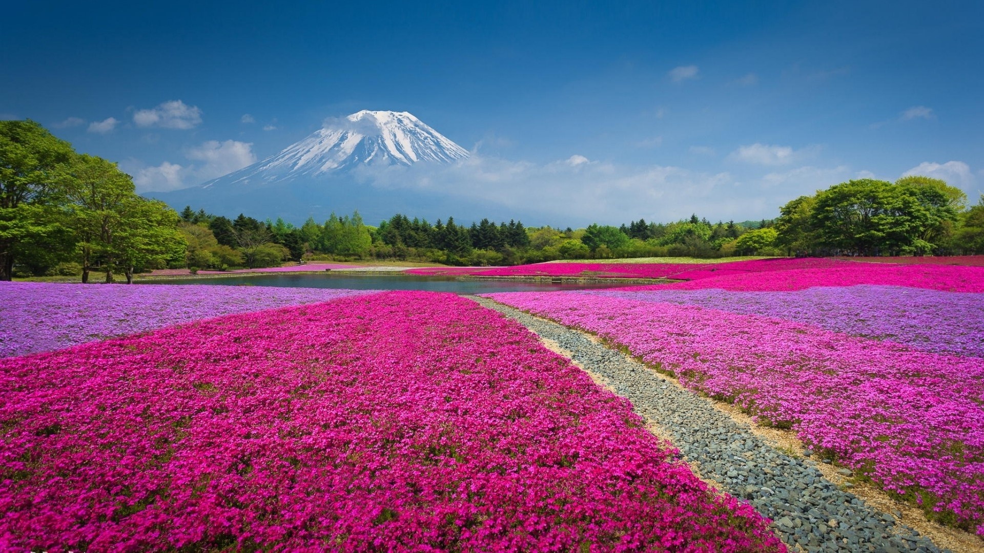 Descarga gratis la imagen Monte Fuji, Tierra/naturaleza en el escritorio de tu PC