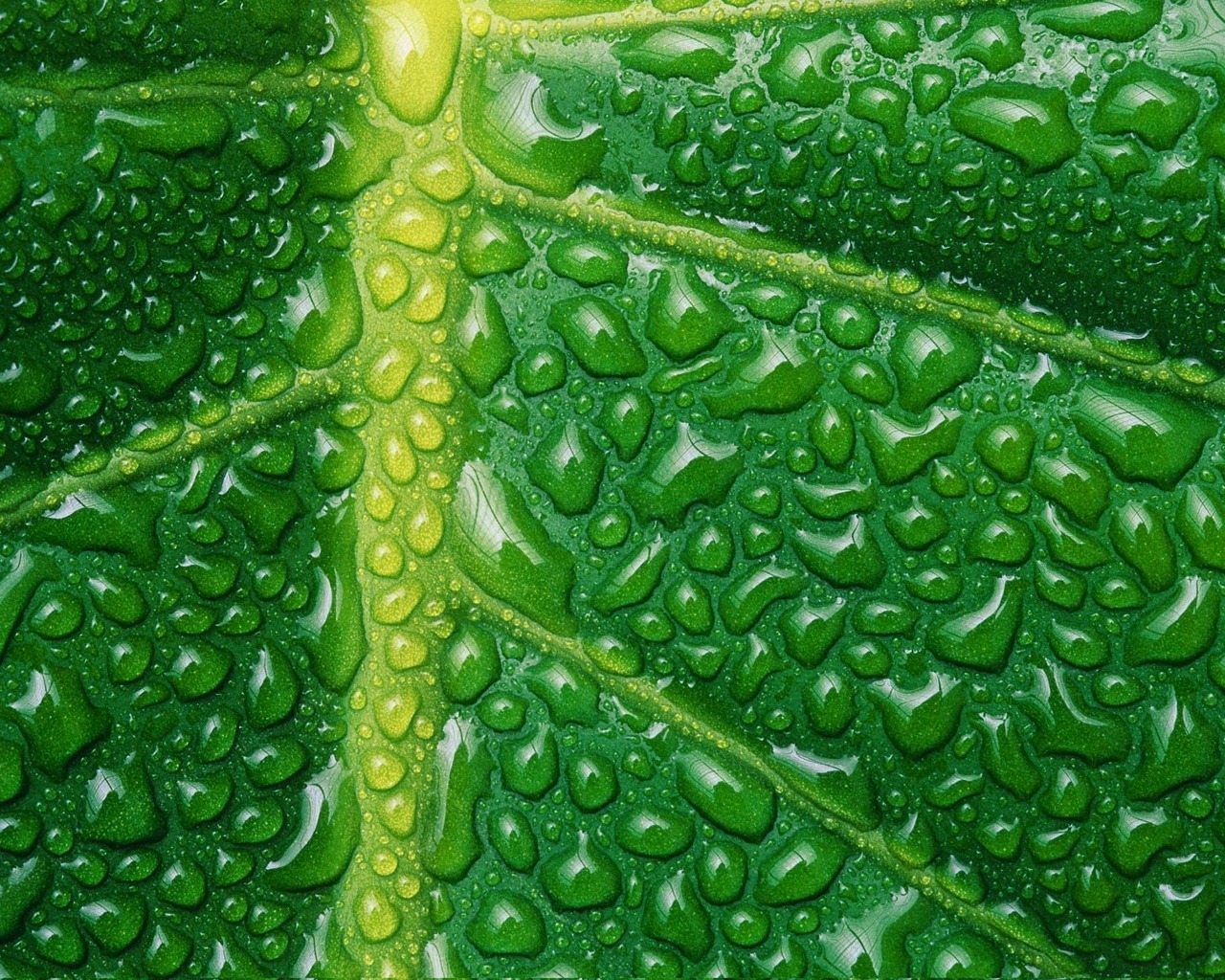 Téléchargez gratuitement l'image Goutte D'eau, Terre/nature sur le bureau de votre PC