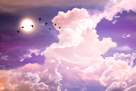Download mobile wallpaper Sun, Bird, Painting, Artistic, Cloud, Flying, Sunshine for free.
