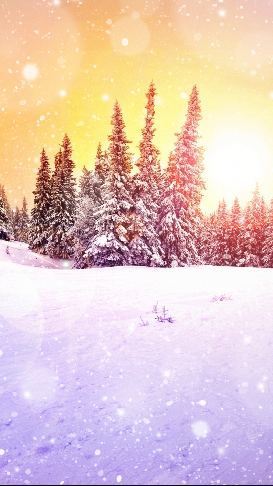 Download mobile wallpaper Winter, Earth for free.