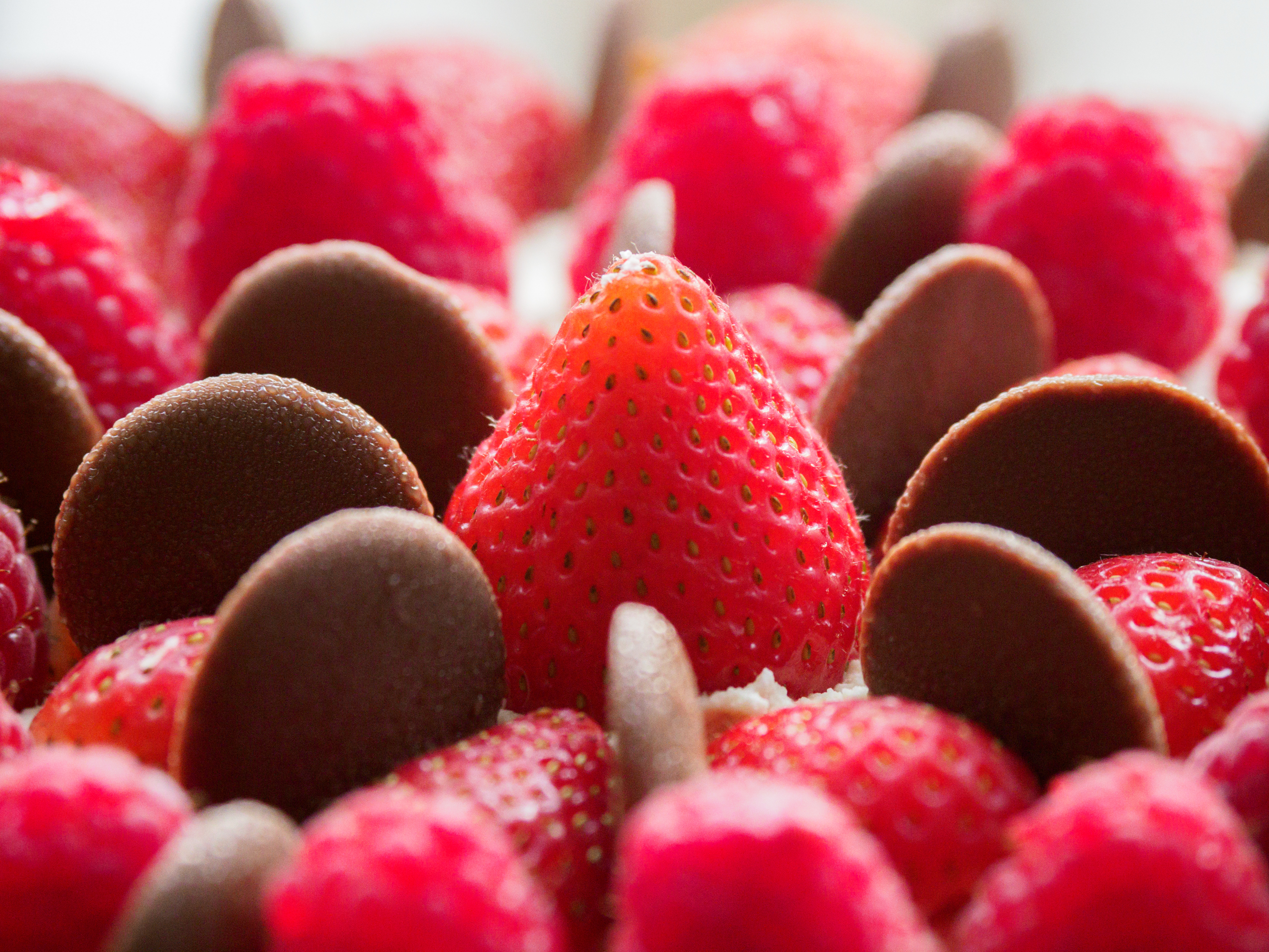 Handy-Wallpaper Lebensmittel, Berries, Schokolade, Wüste, Erdbeere kostenlos herunterladen.