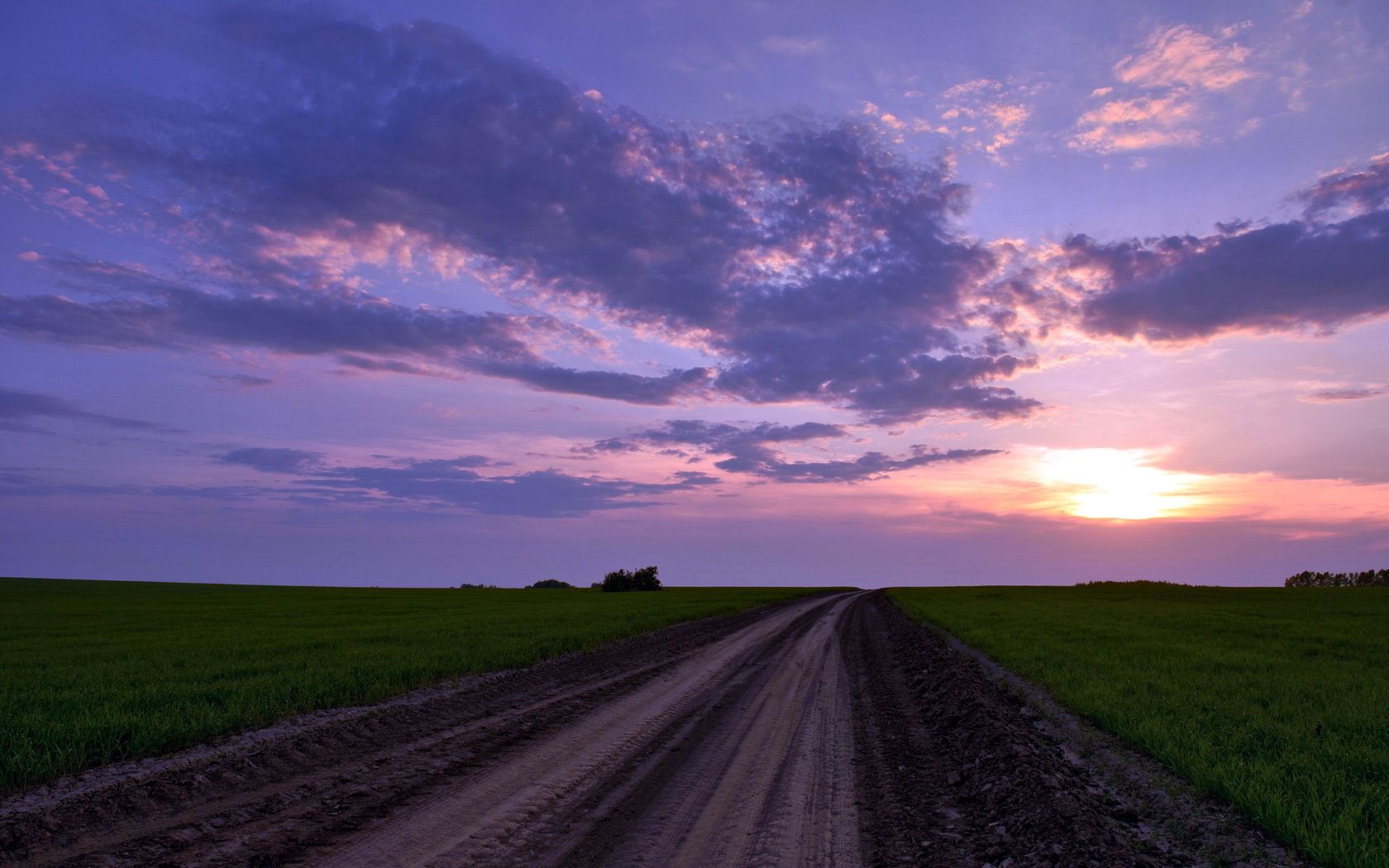 country, field, road, clouds, nature, horizon, evening, countryside