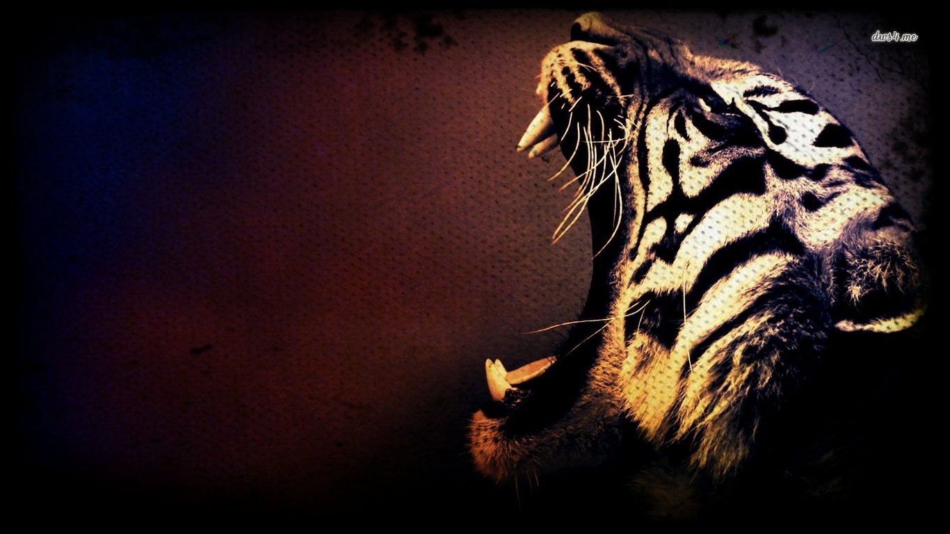 Download mobile wallpaper Cats, Animal, Tiger for free.