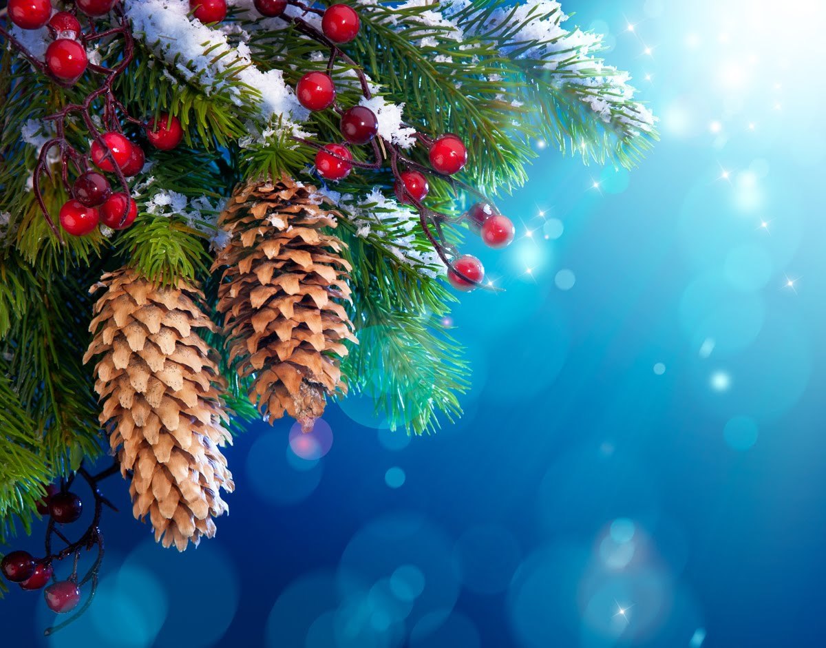 fir trees, christmas xmas, holidays, background, cones, new year HD wallpaper