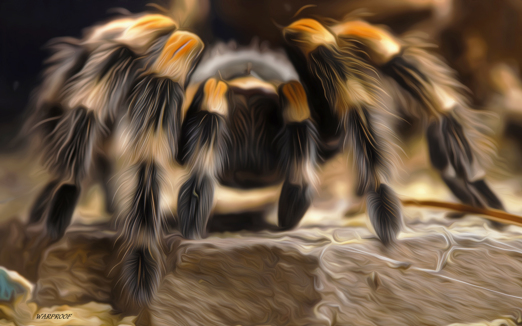312423 скачать обои паук, пауки, животные, тарантул, масляные краски - заставки и картинки бесплатно