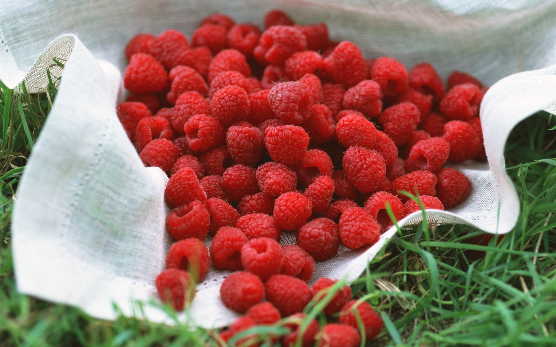 Download mobile wallpaper Food, Raspberry for free.