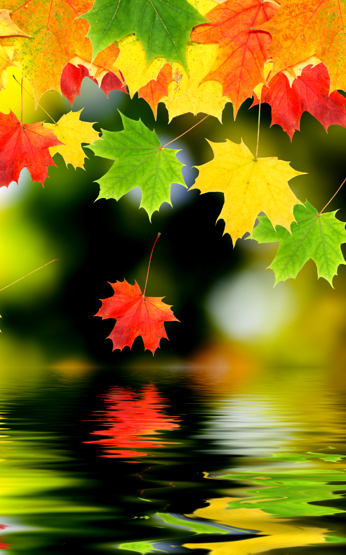 Download mobile wallpaper Fall, Earth for free.