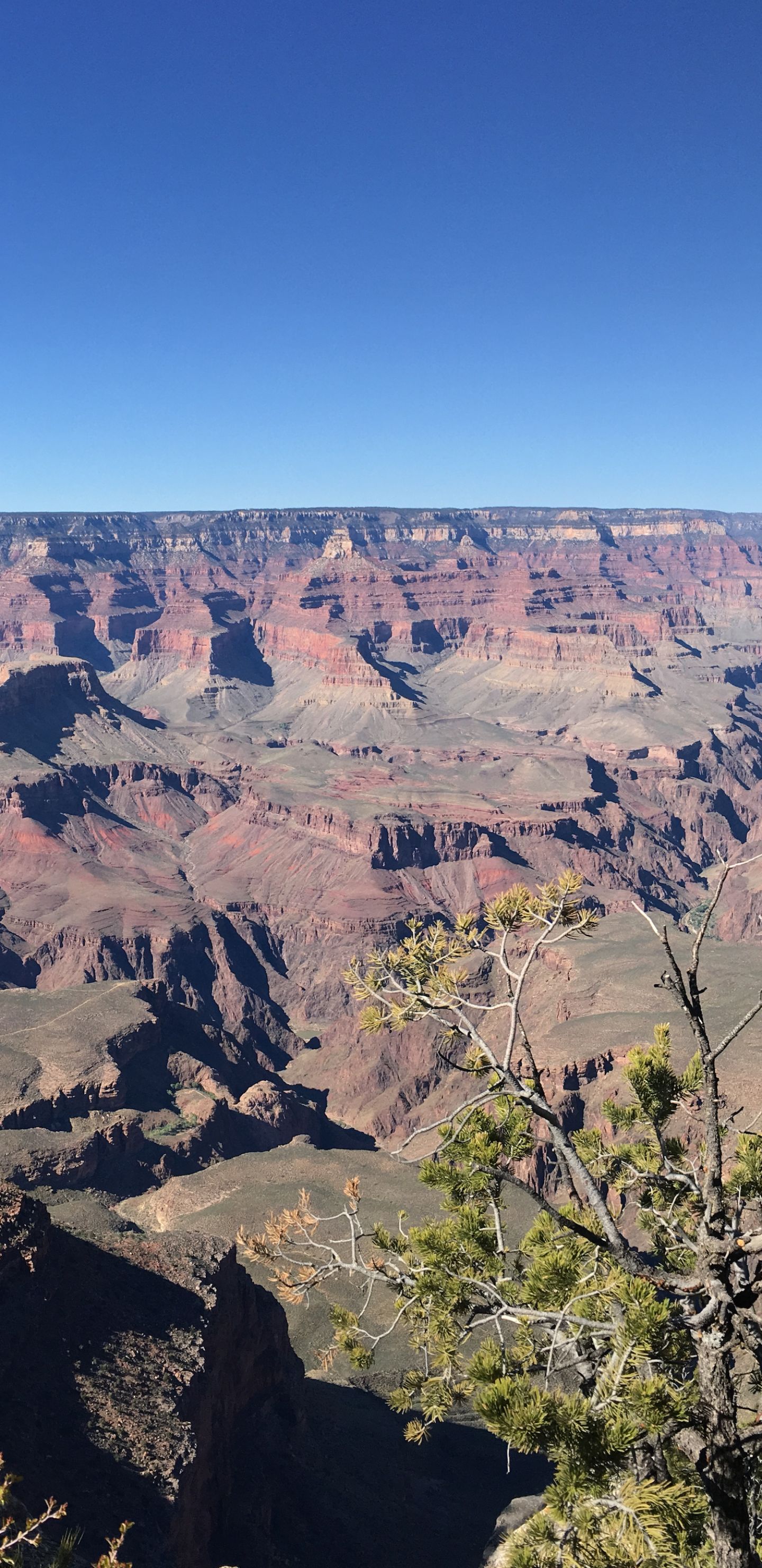 1151204 Bildschirmschoner und Hintergrundbilder Grand Canyon auf Ihrem Telefon. Laden Sie  Bilder kostenlos herunter