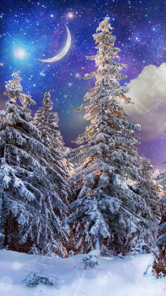 Download mobile wallpaper Winter, Sky, Snow, Tree, Starry Sky, Earth, Space, Cloud, Crescent, Fir Tree for free.