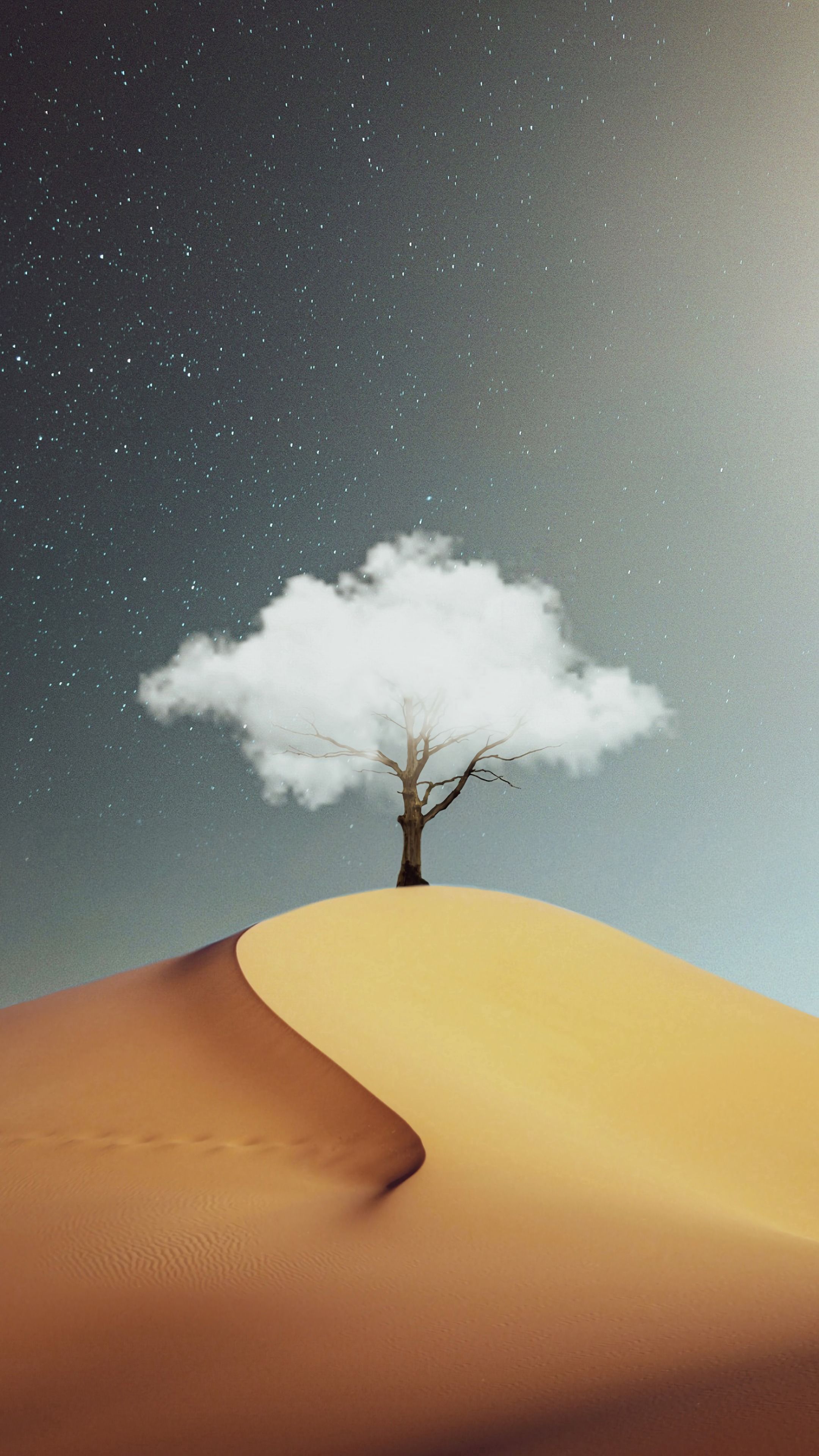 tree, cloud, desert, sand, miscellanea, miscellaneous, wood, hill