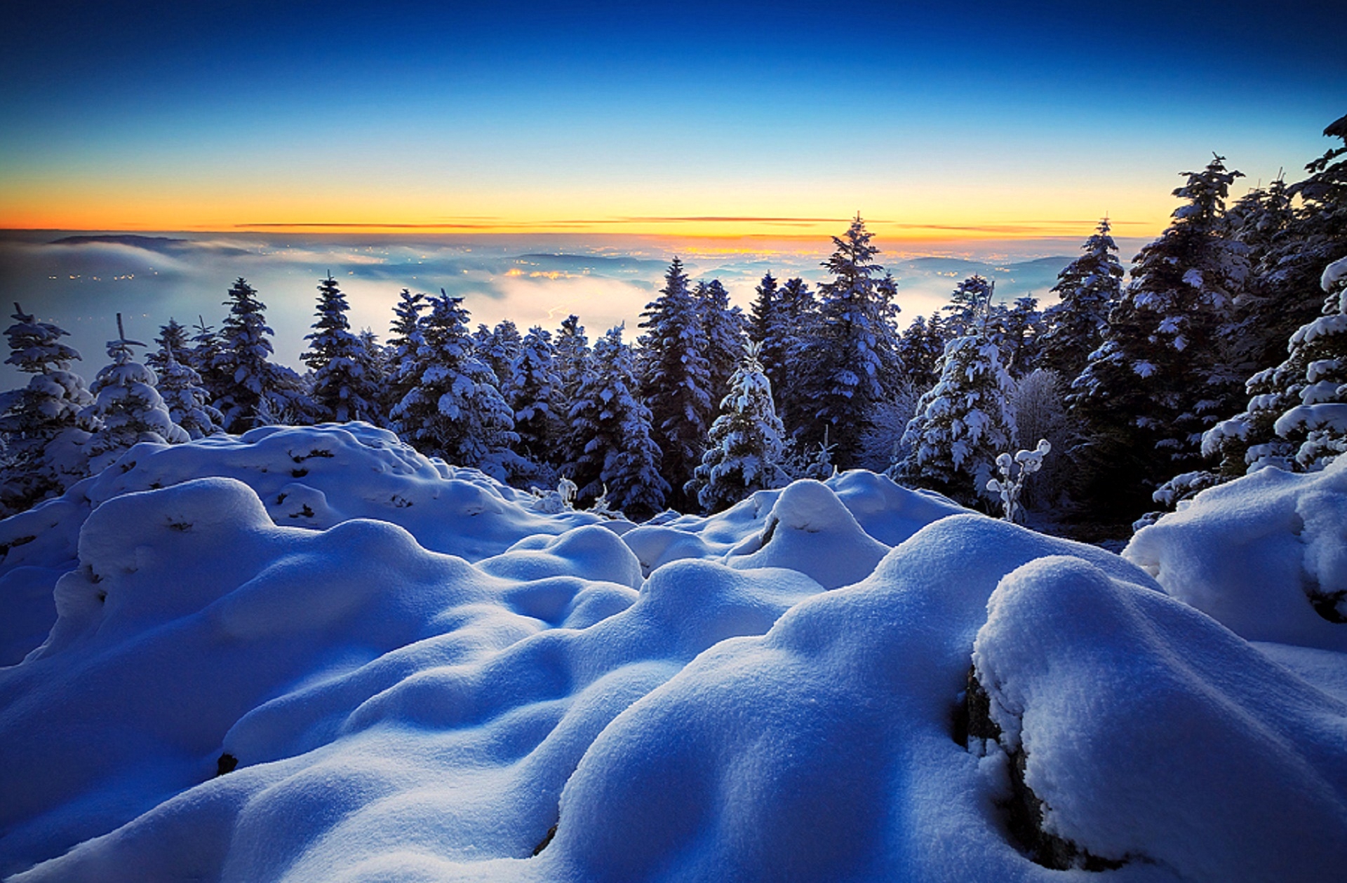 Free download wallpaper Winter, Snow, Horizon, Tree, Earth on your PC desktop