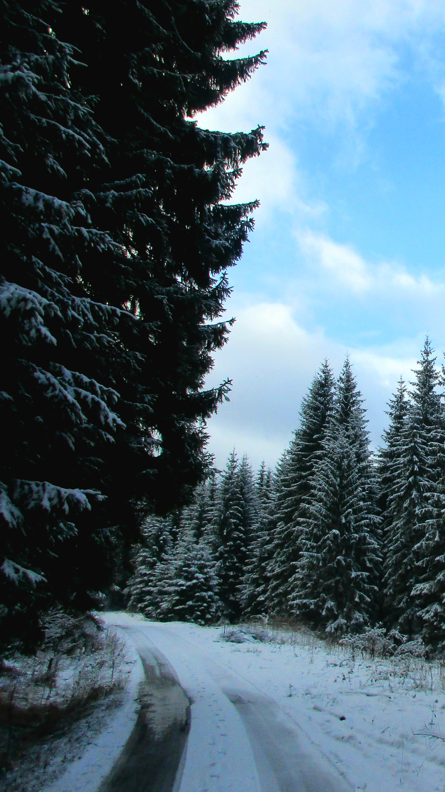 Descarga gratuita de fondo de pantalla para móvil de Invierno, Nieve, Bosque, República Checa, Carretera, Tierra/naturaleza, La Carretera.