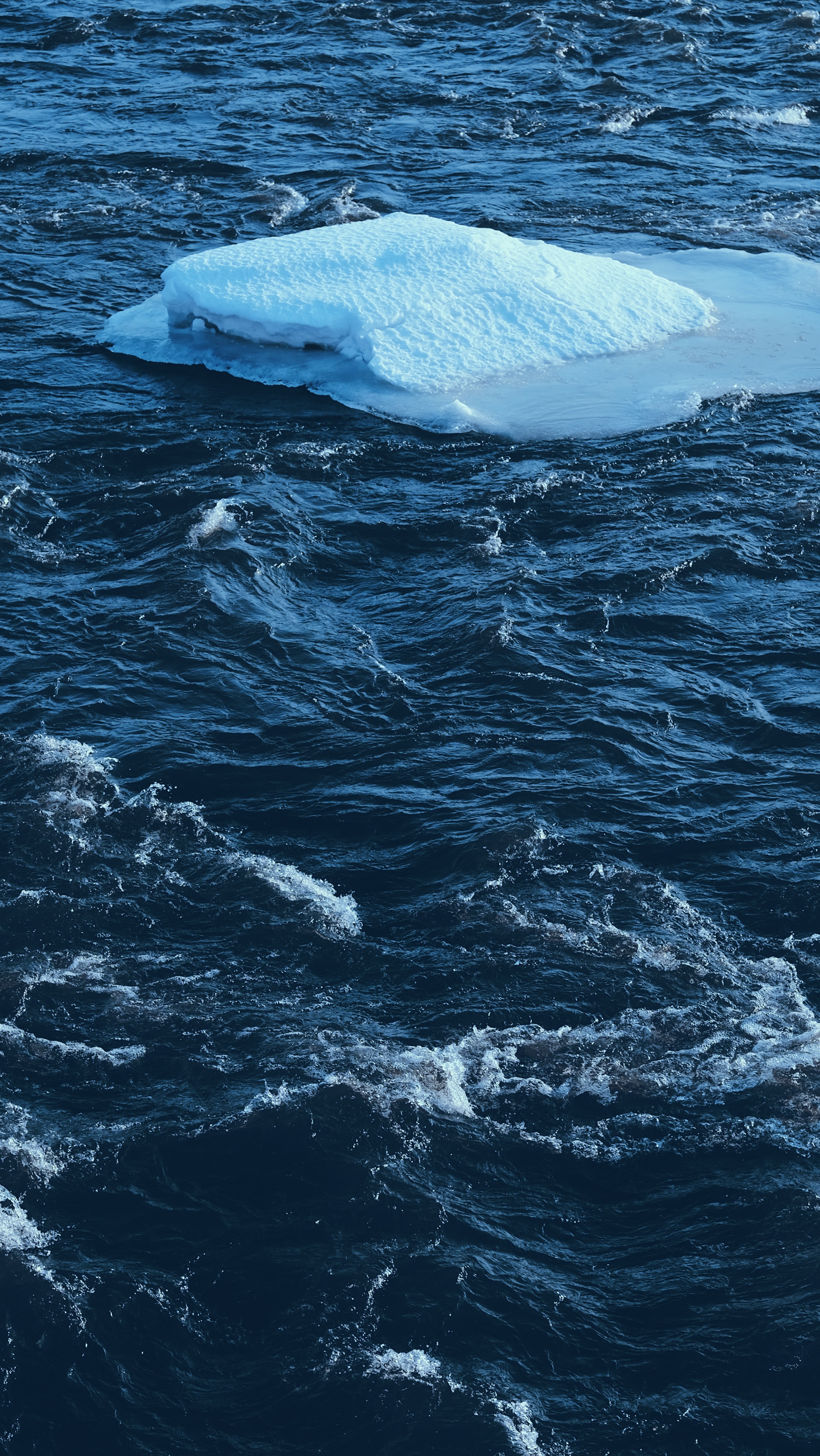 nature, water, ice, waves, snow, ice floe