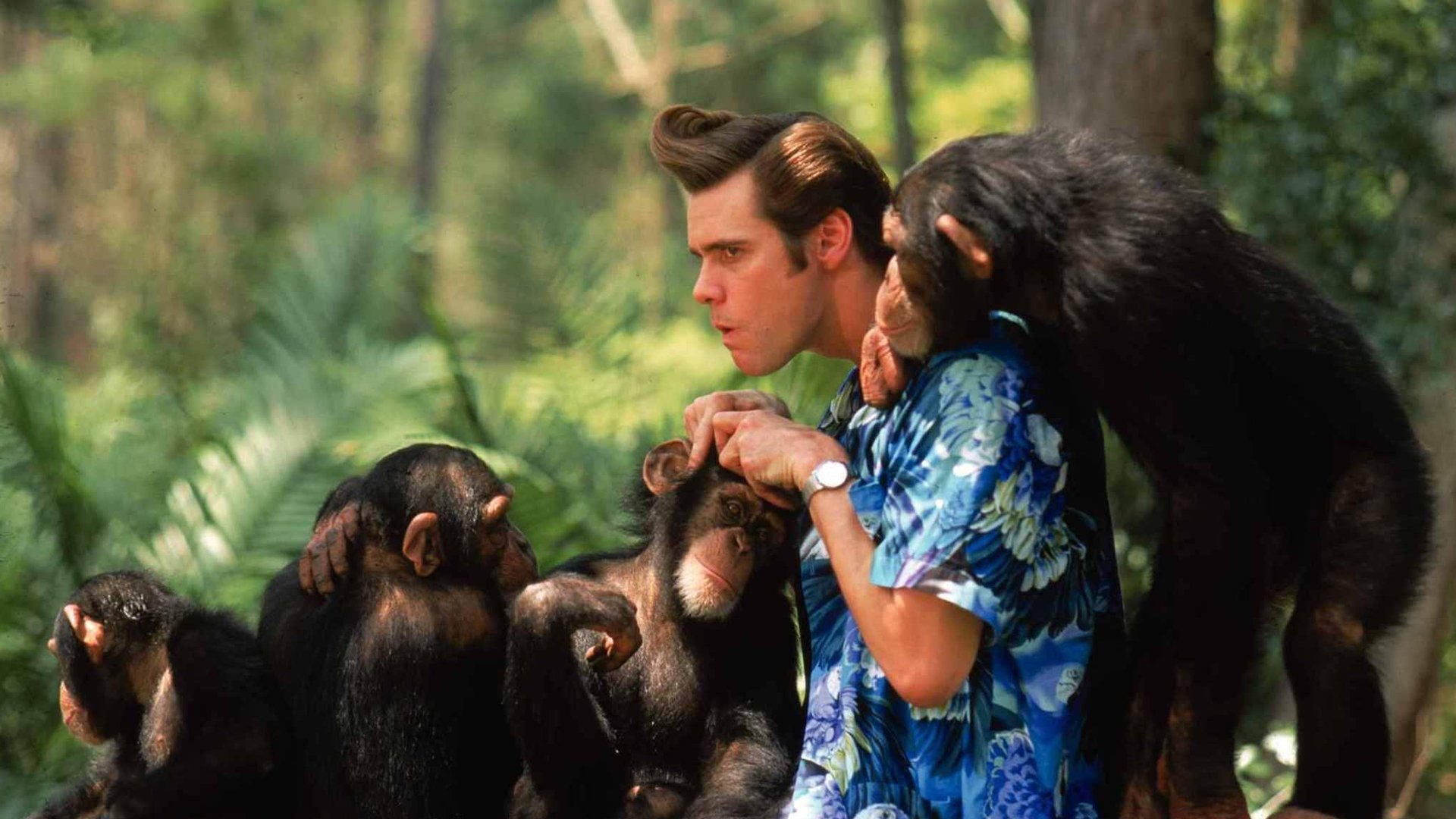 Baixar papéis de parede de desktop Ace Ventura 2: Um Maluco Na África HD