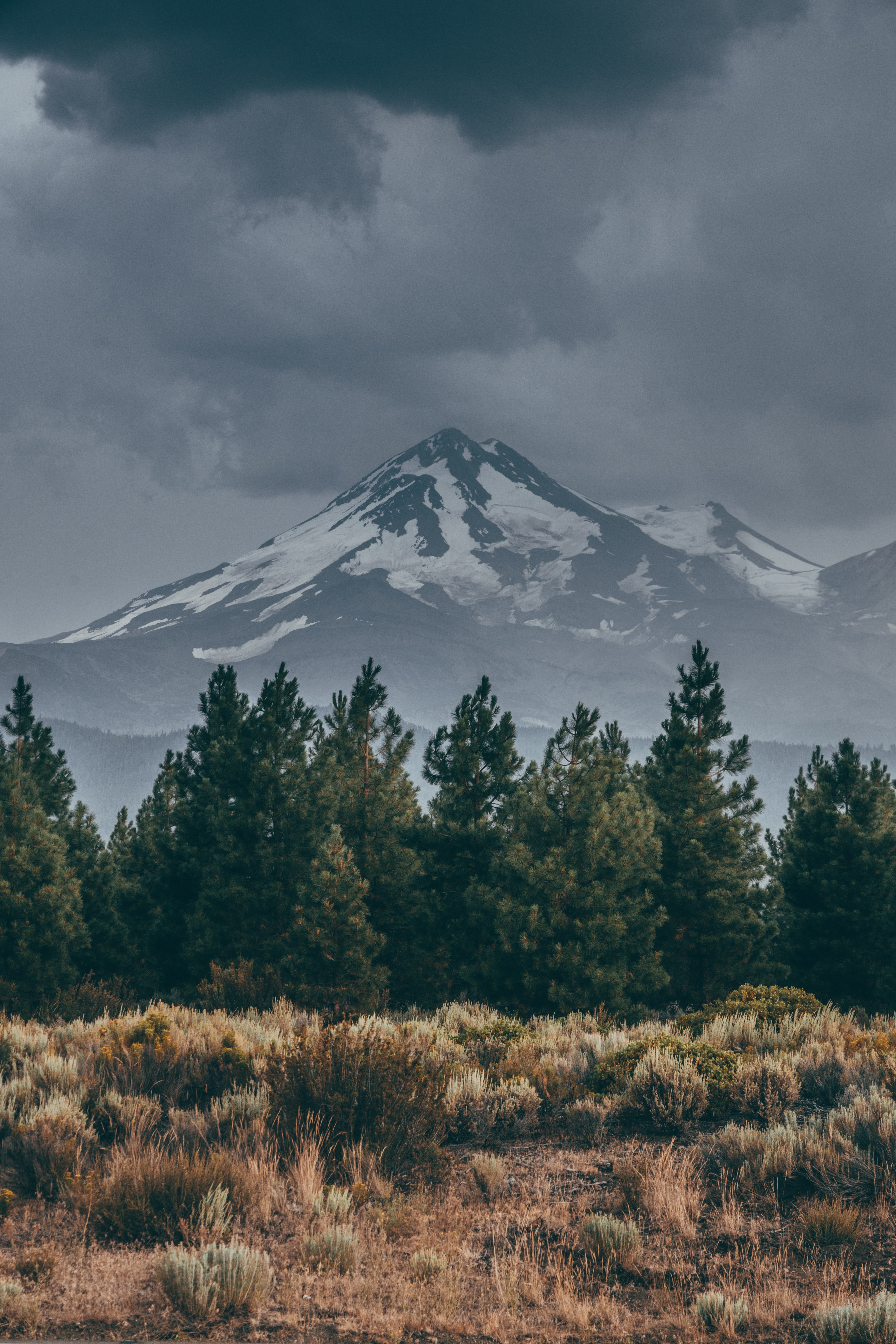 93576 скачать обои гора, ель, снег, трава, природа, вершина, заснеженный - заставки и картинки бесплатно