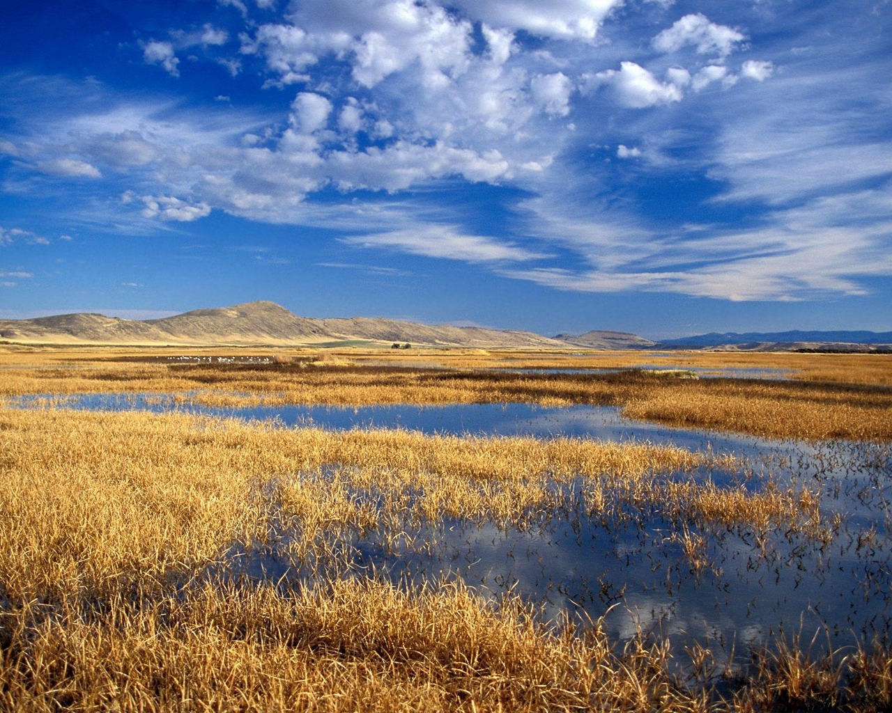 Laden Sie das Feld, Erde/natur-Bild kostenlos auf Ihren PC-Desktop herunter