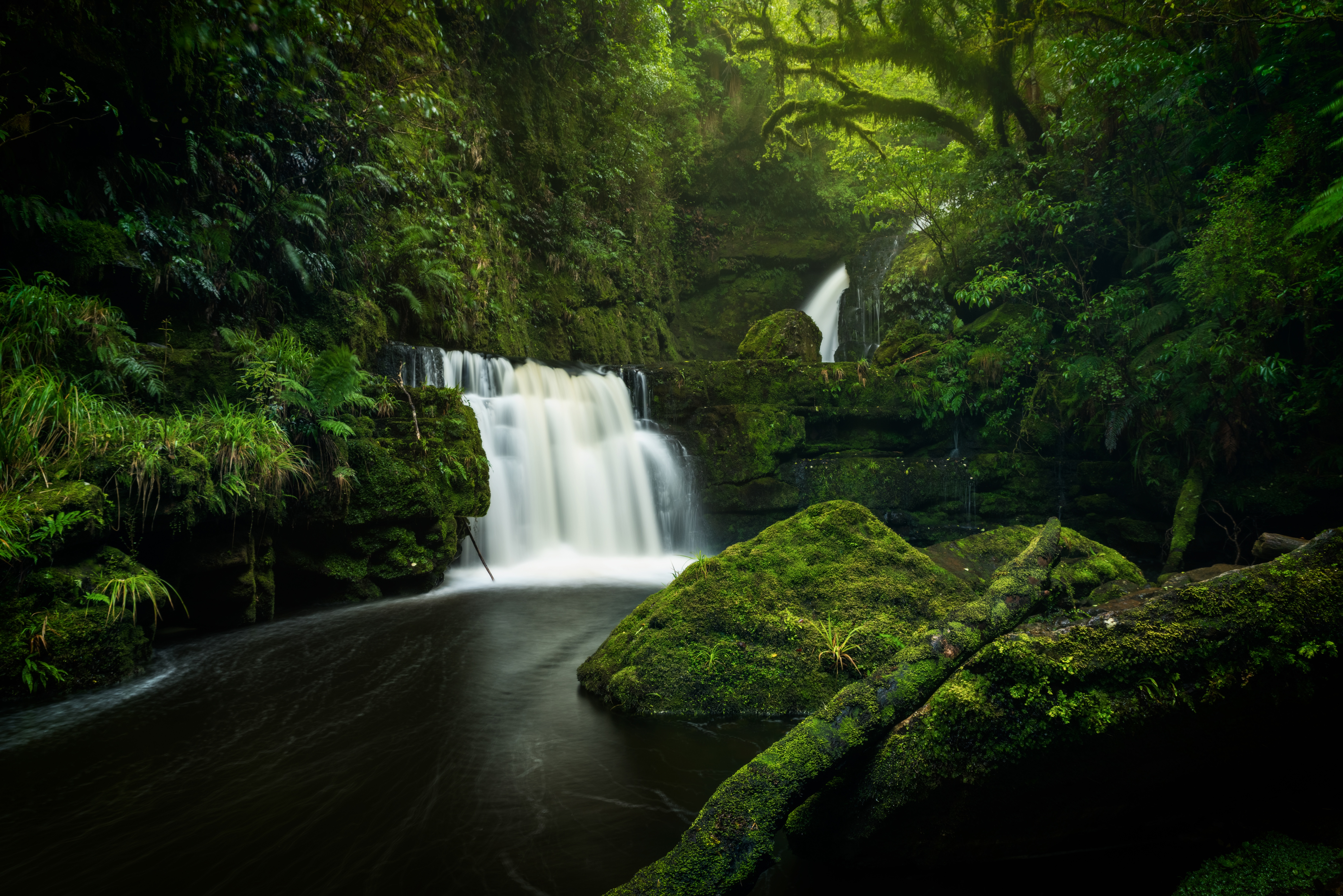 Baixe gratuitamente a imagem Água, Nova Zelândia, Vegetação, Terra/natureza na área de trabalho do seu PC