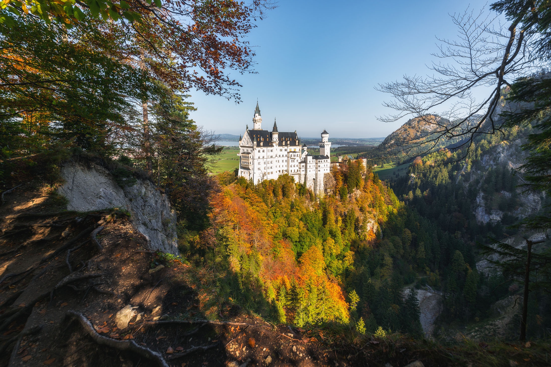 Handy-Wallpaper Herbst, Schlösser, Wald, Deutschland, Bayern, Schloss Neuschwanstein, Menschengemacht, Schloss kostenlos herunterladen.
