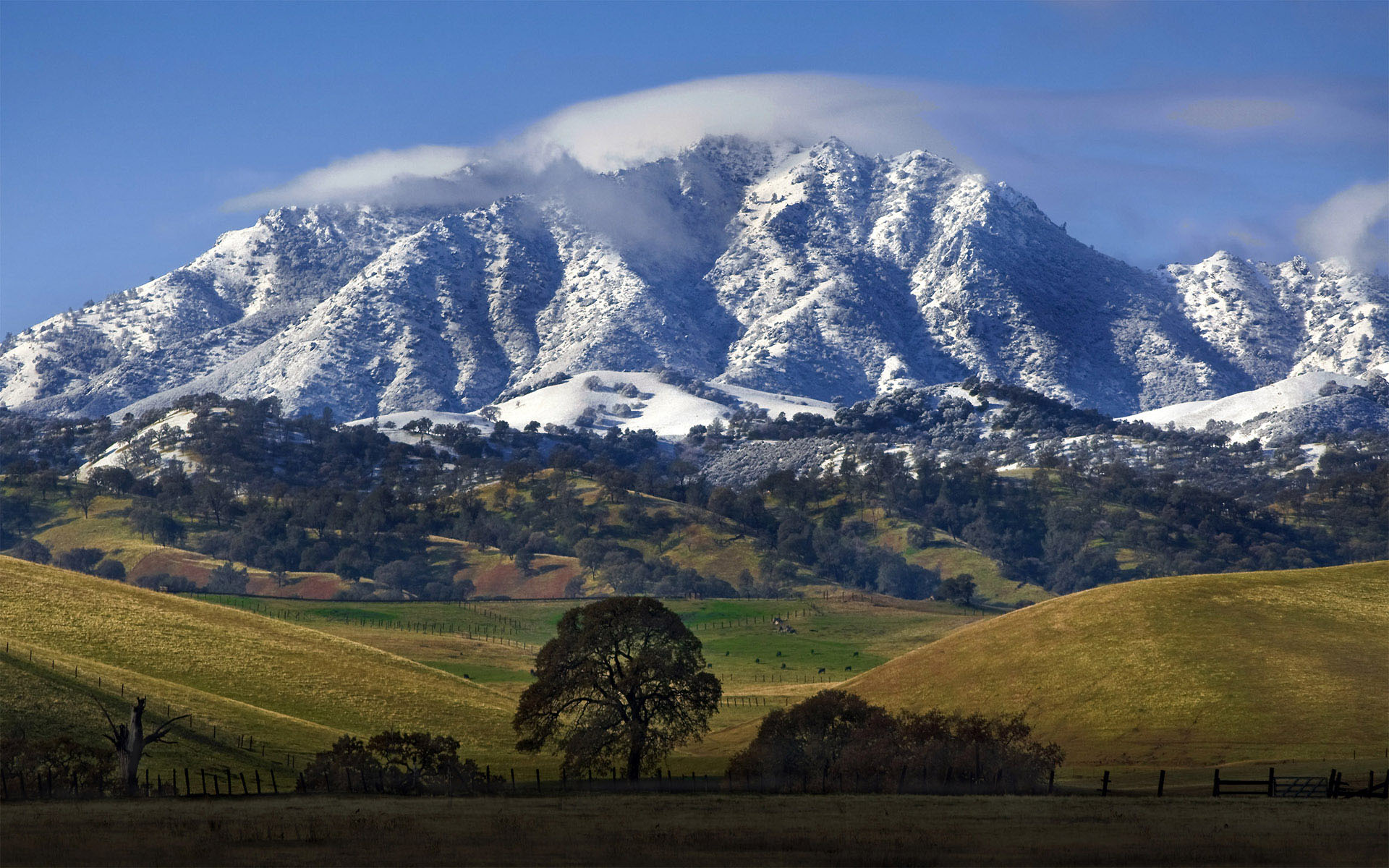 Free download wallpaper Landscape, Mountains, Mountain, Earth, Field on your PC desktop