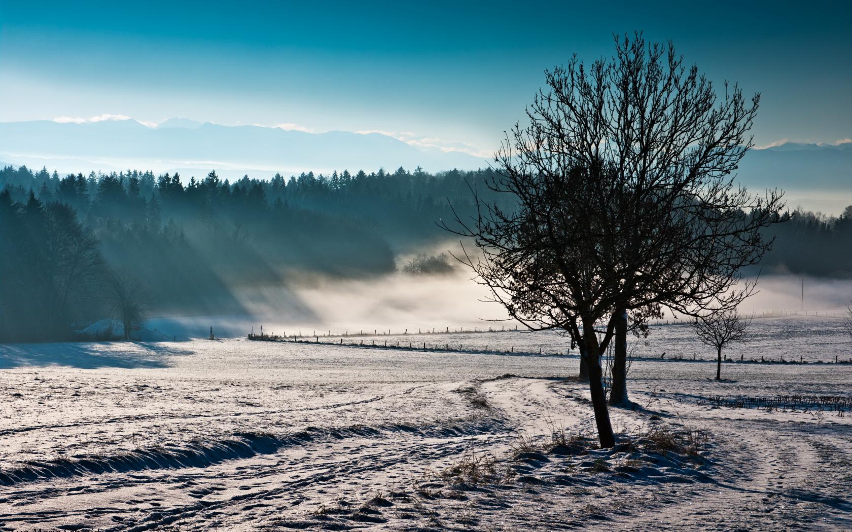 Descarga gratis la imagen Paisaje, Tierra/naturaleza en el escritorio de tu PC