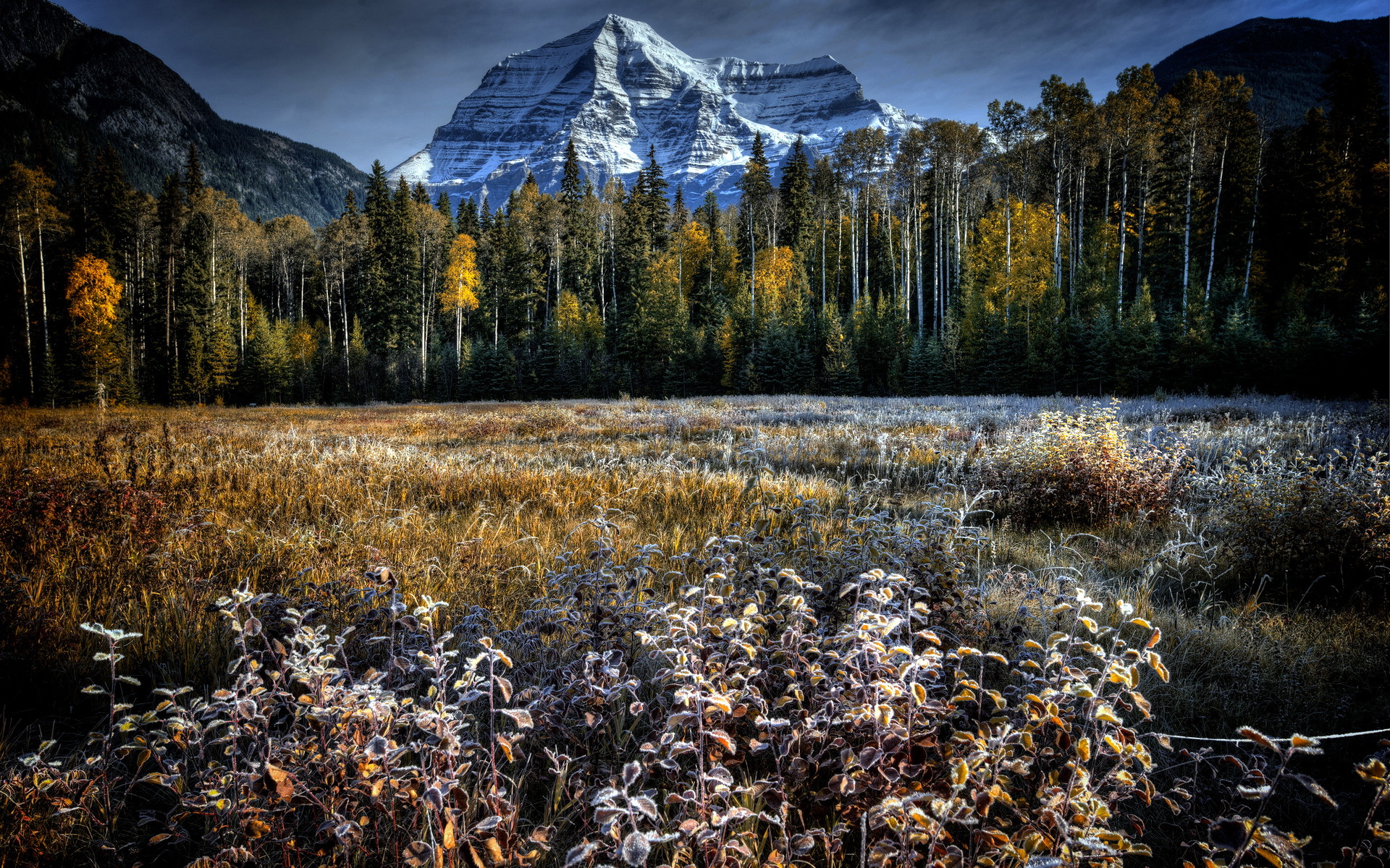 Free download wallpaper Landscape, Nature, Mountains, Mountain, Forest, Earth, Field on your PC desktop