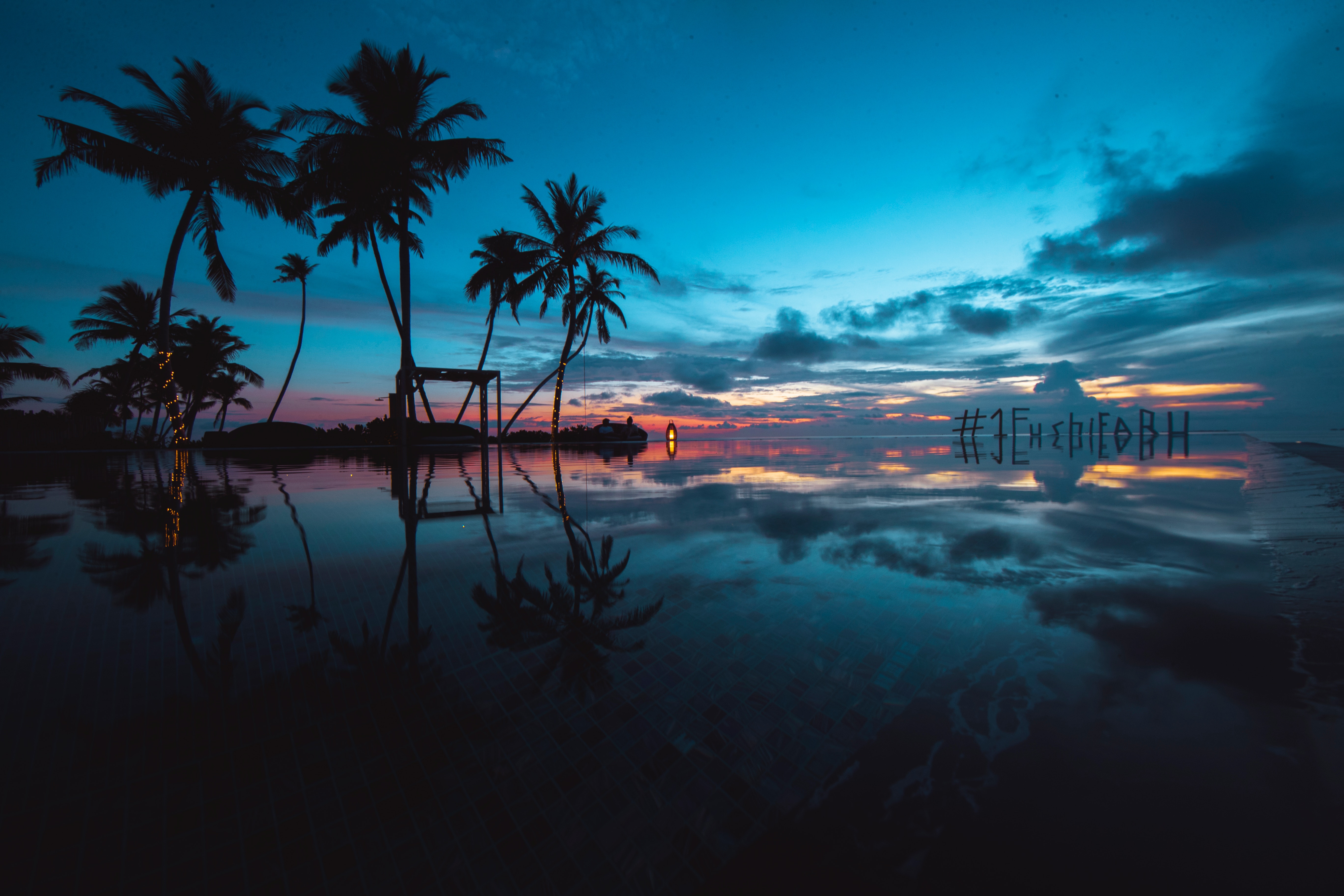 ocean, sunset, nature, palms, evening, tropics 1080p